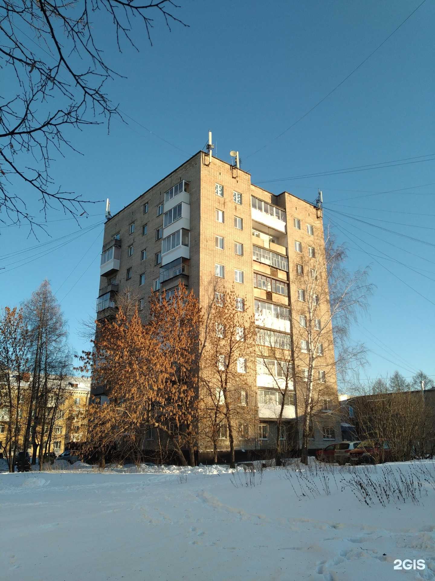 Отзывы на компанию Цветы для вас в Нижнем Тагиле c фото - фотография 2 из 2