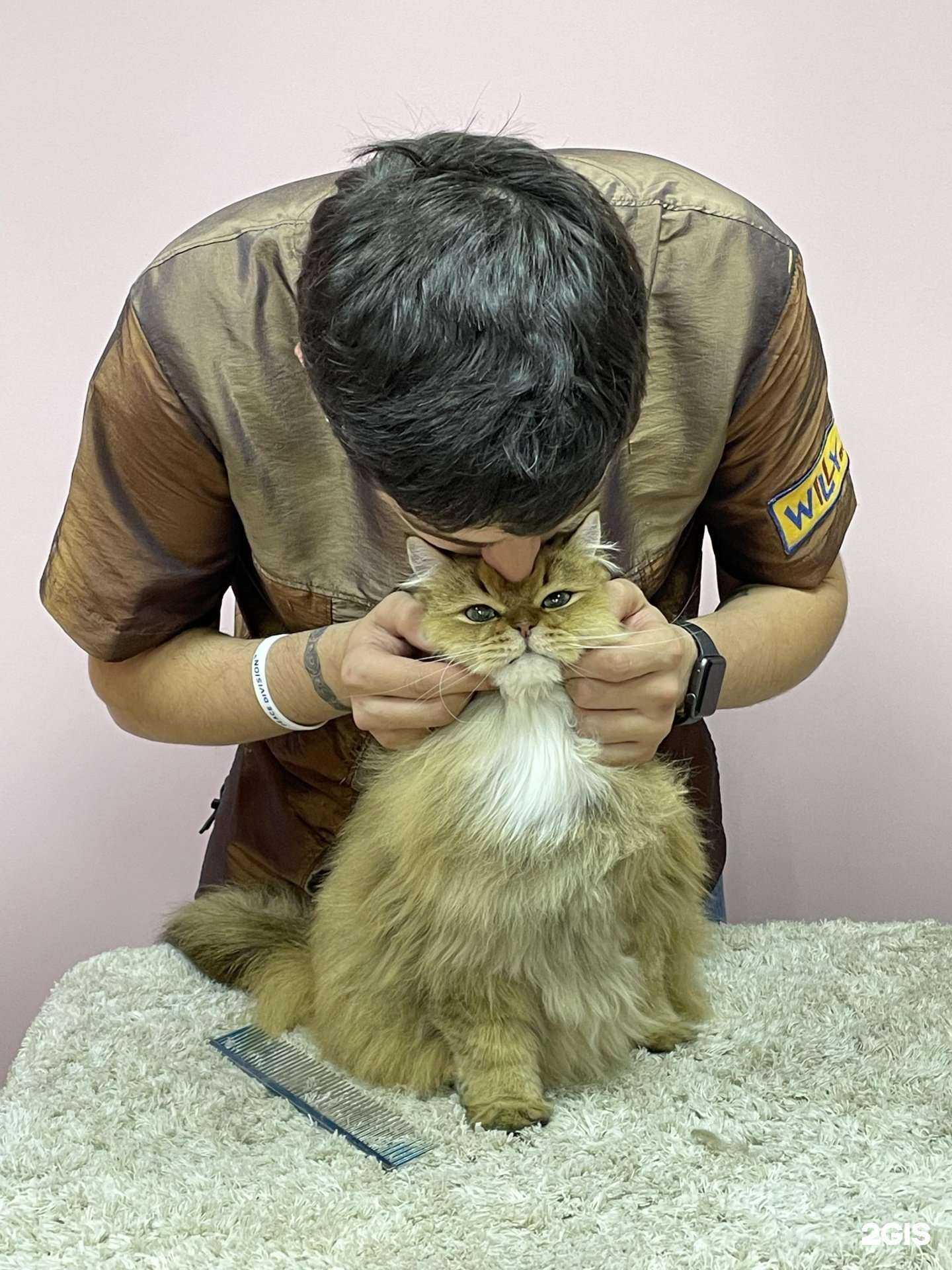 Отзывы на компанию Willy Band в Краснодаре c фото