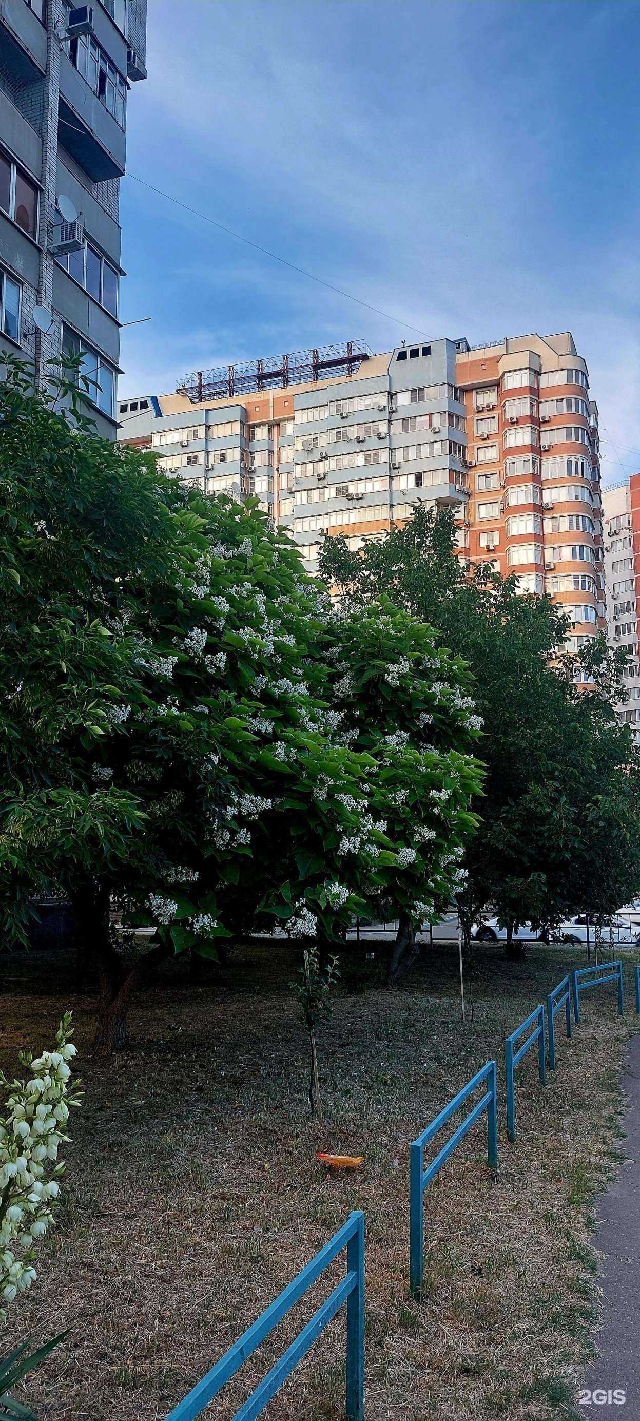 Отзывы на компанию РоббоДрон в Краснодаре c фото - фотография 2 из 2