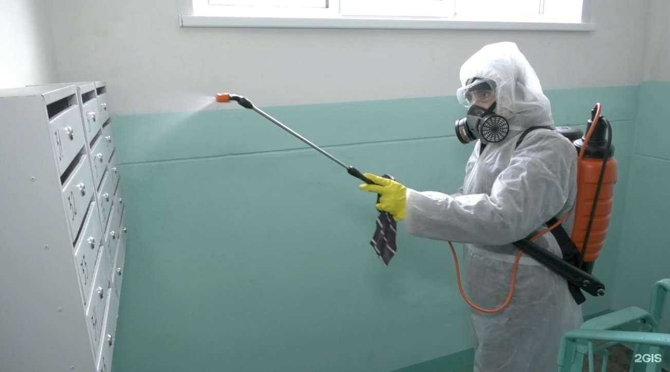 Отзывы на компанию ДезКонтроль в г. Сочи c фото