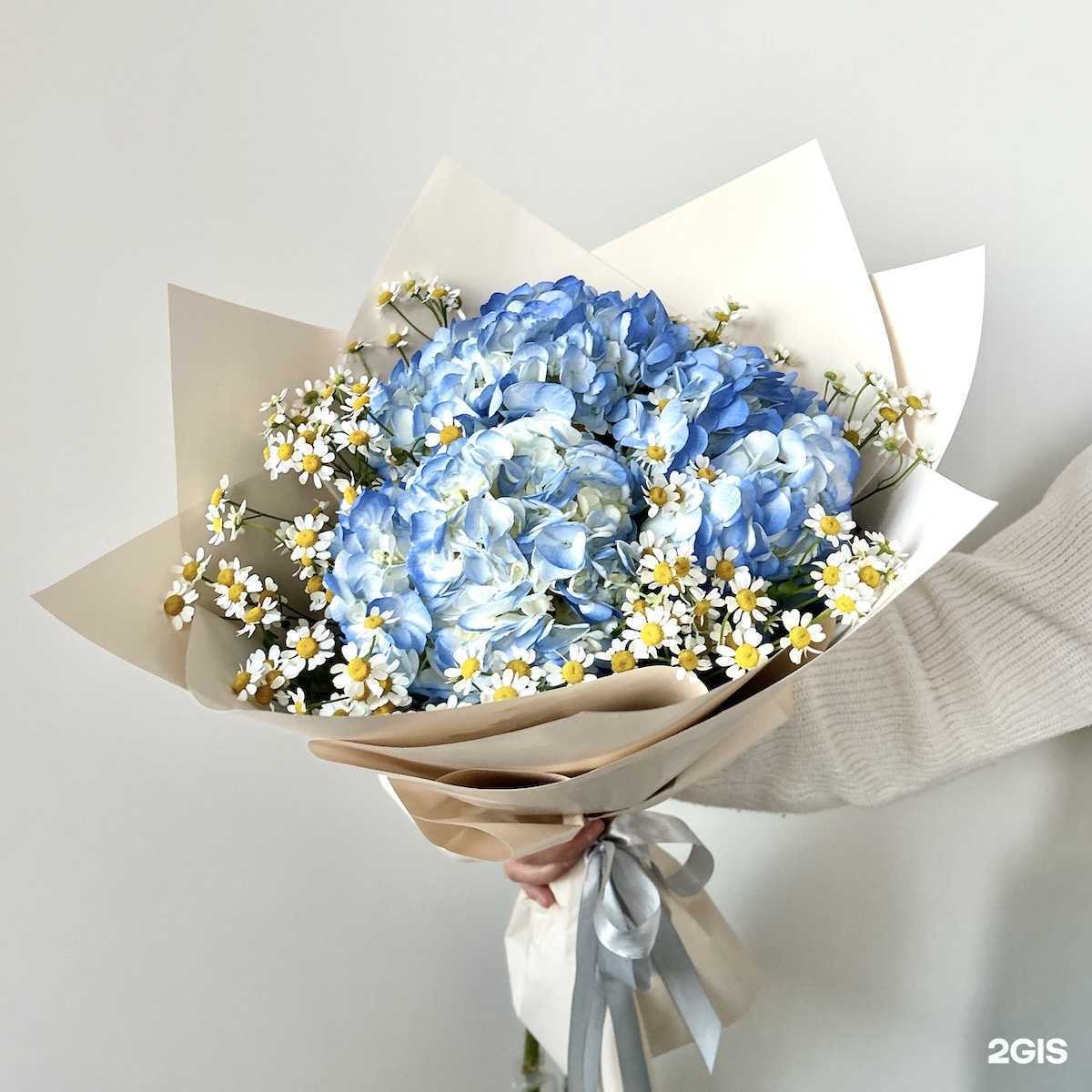 Отзывы на компанию Darsi в г. Тюмень c фото