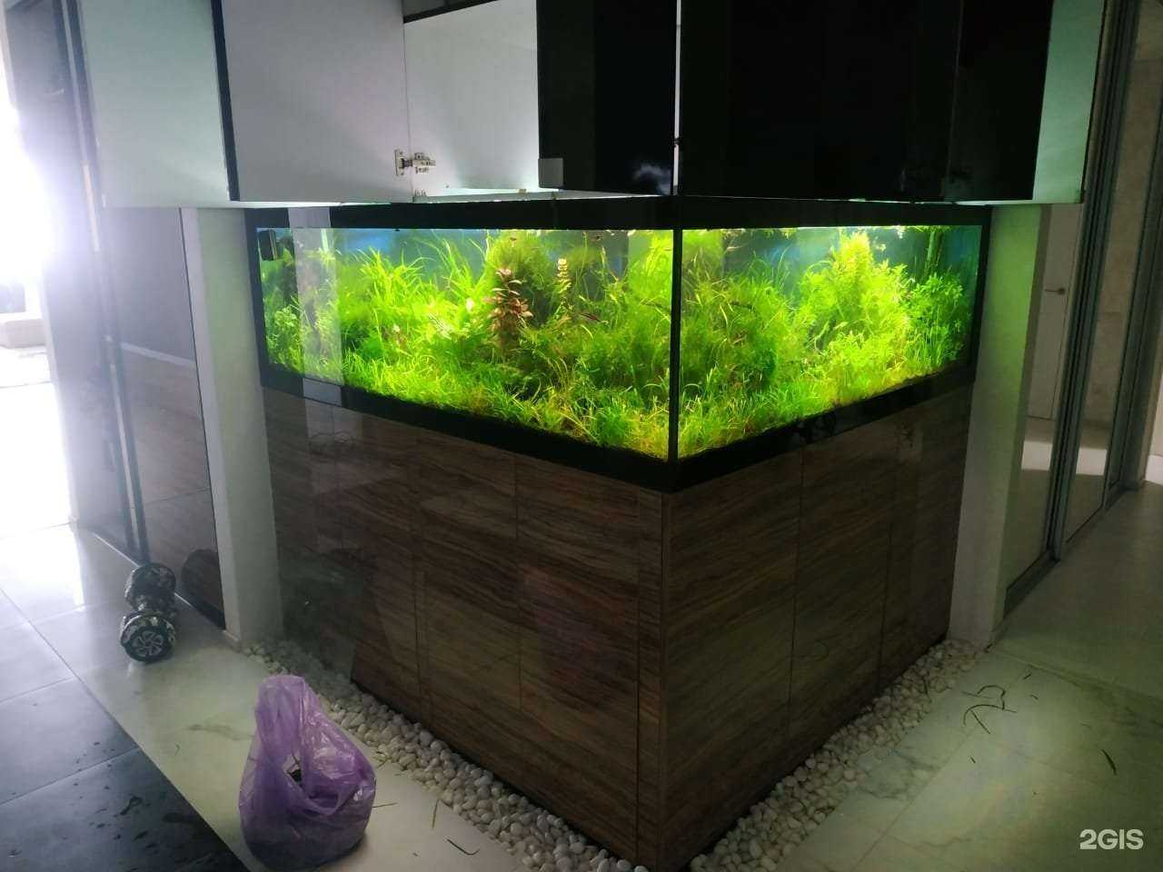 Отзывы на компанию Аквариус-ДВ в г. Владивосток c фото