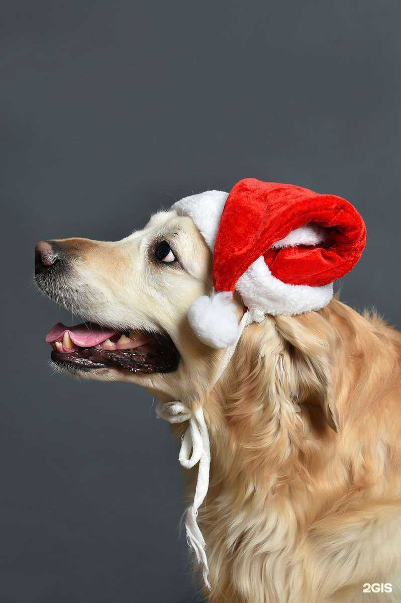 Отзывы на компанию Фото-Арт в Екатеринбурге c фото