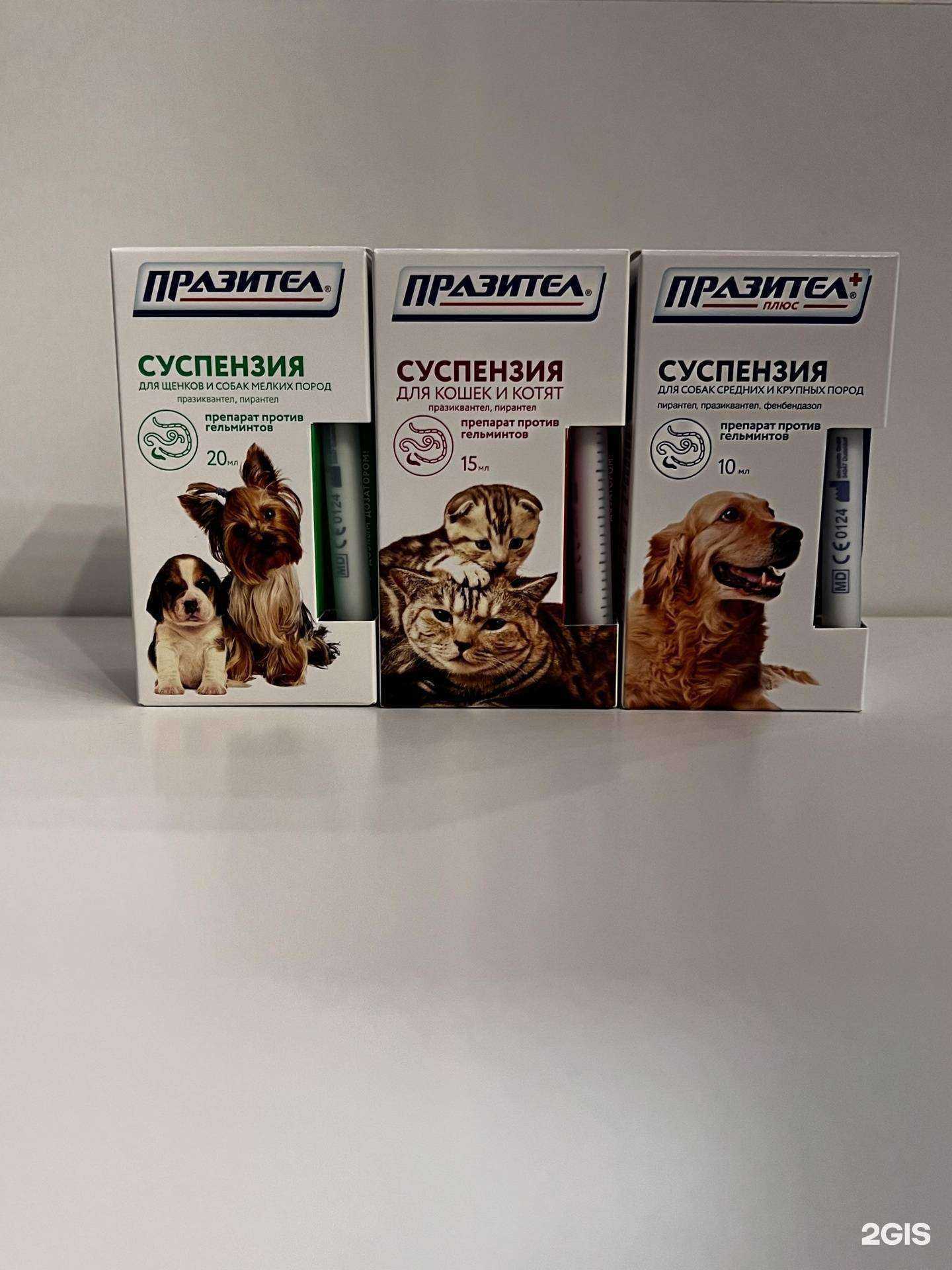 Отзывы на компанию Верный друг в г. Калуга c фото