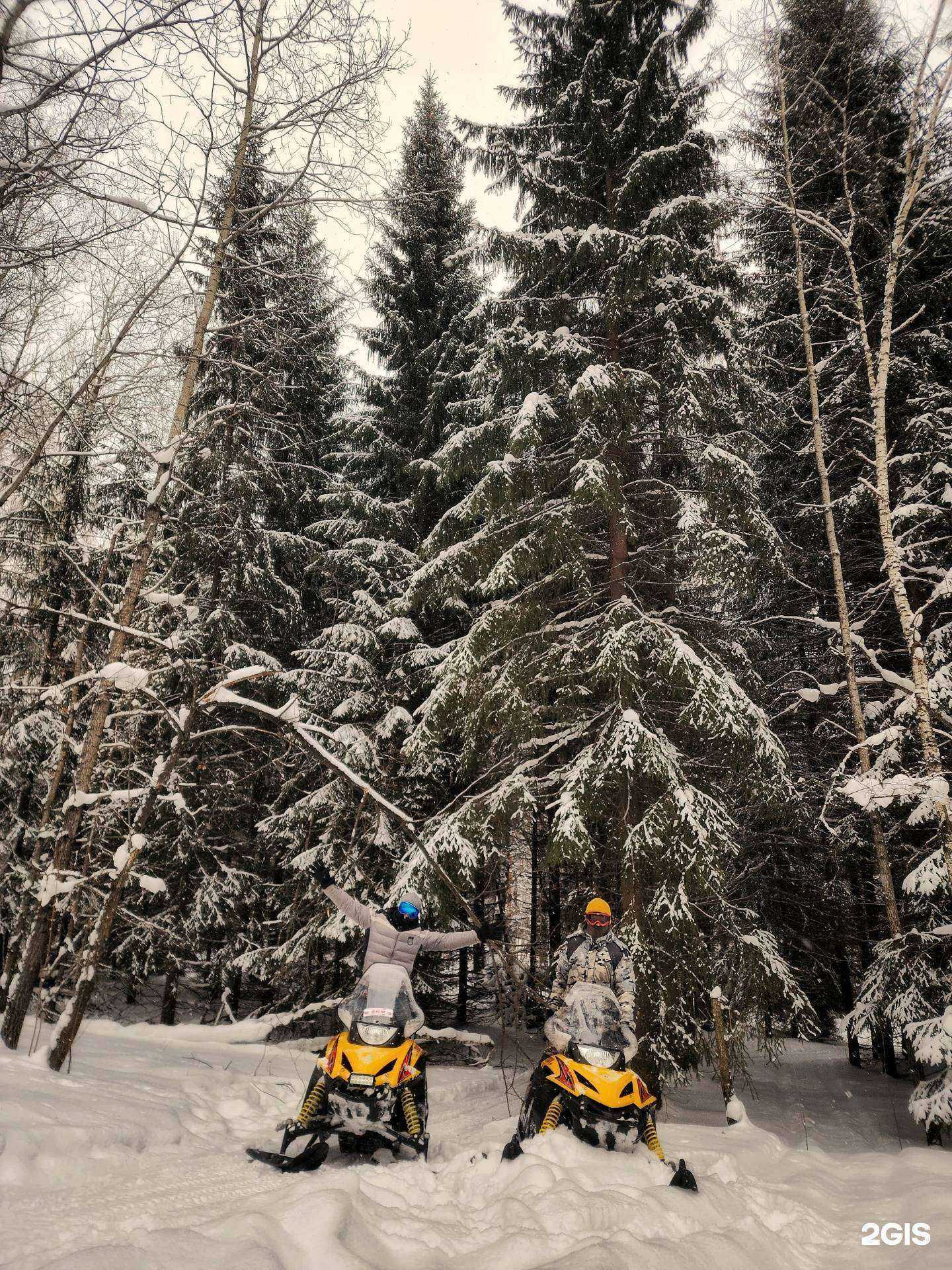 Отзывы на компанию Bft Berdsk Forest Trail в г. Новосибирск c фото