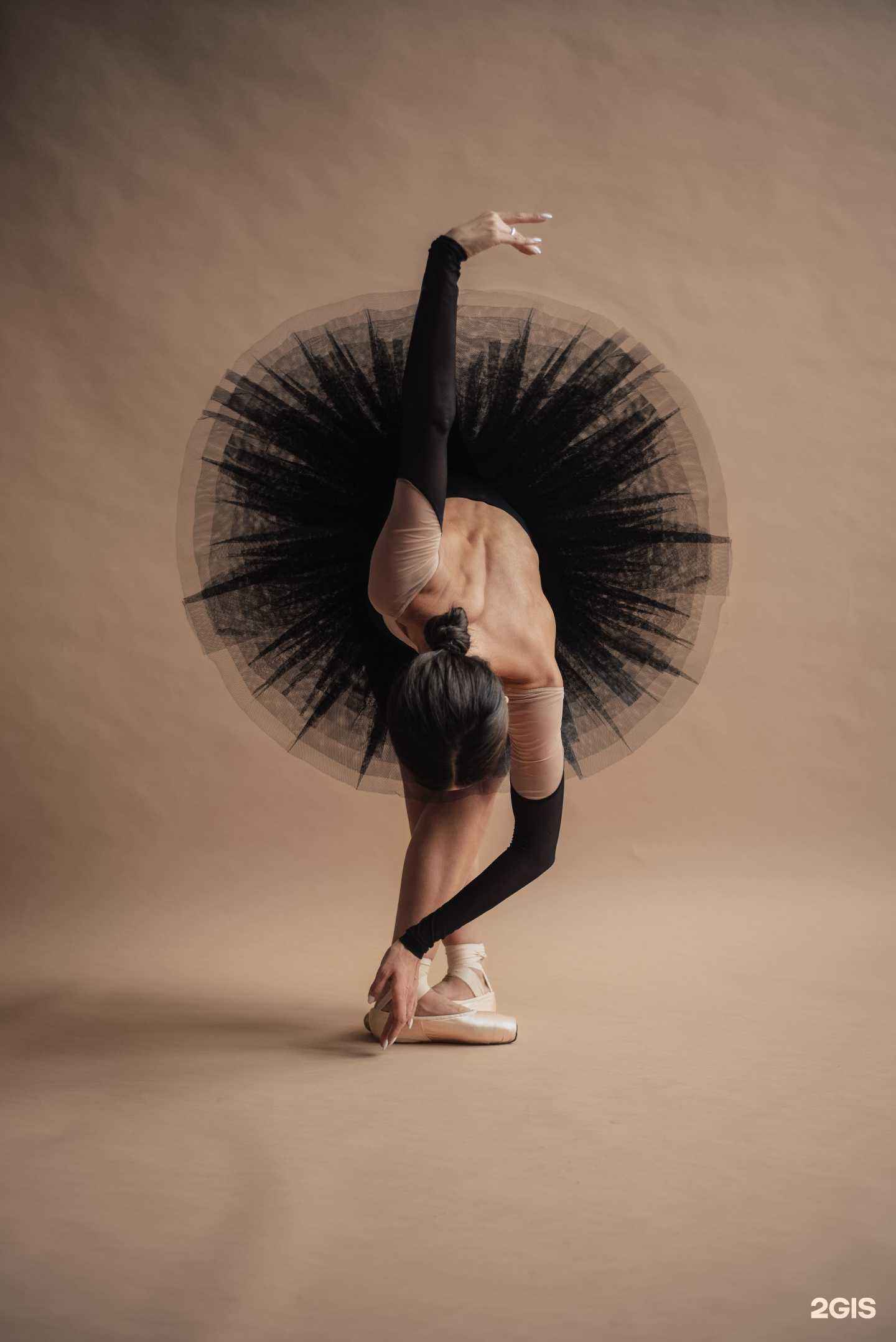 Отзывы на компанию Clio в Новосибирске c фото