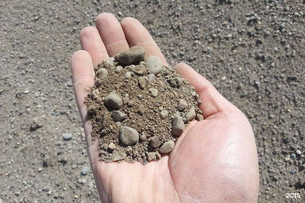 Отзывы на компанию Удача в Бийске c фото