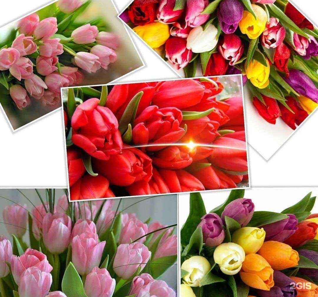 Отзывы на компанию Магазин цветов в Владивостоке c фото