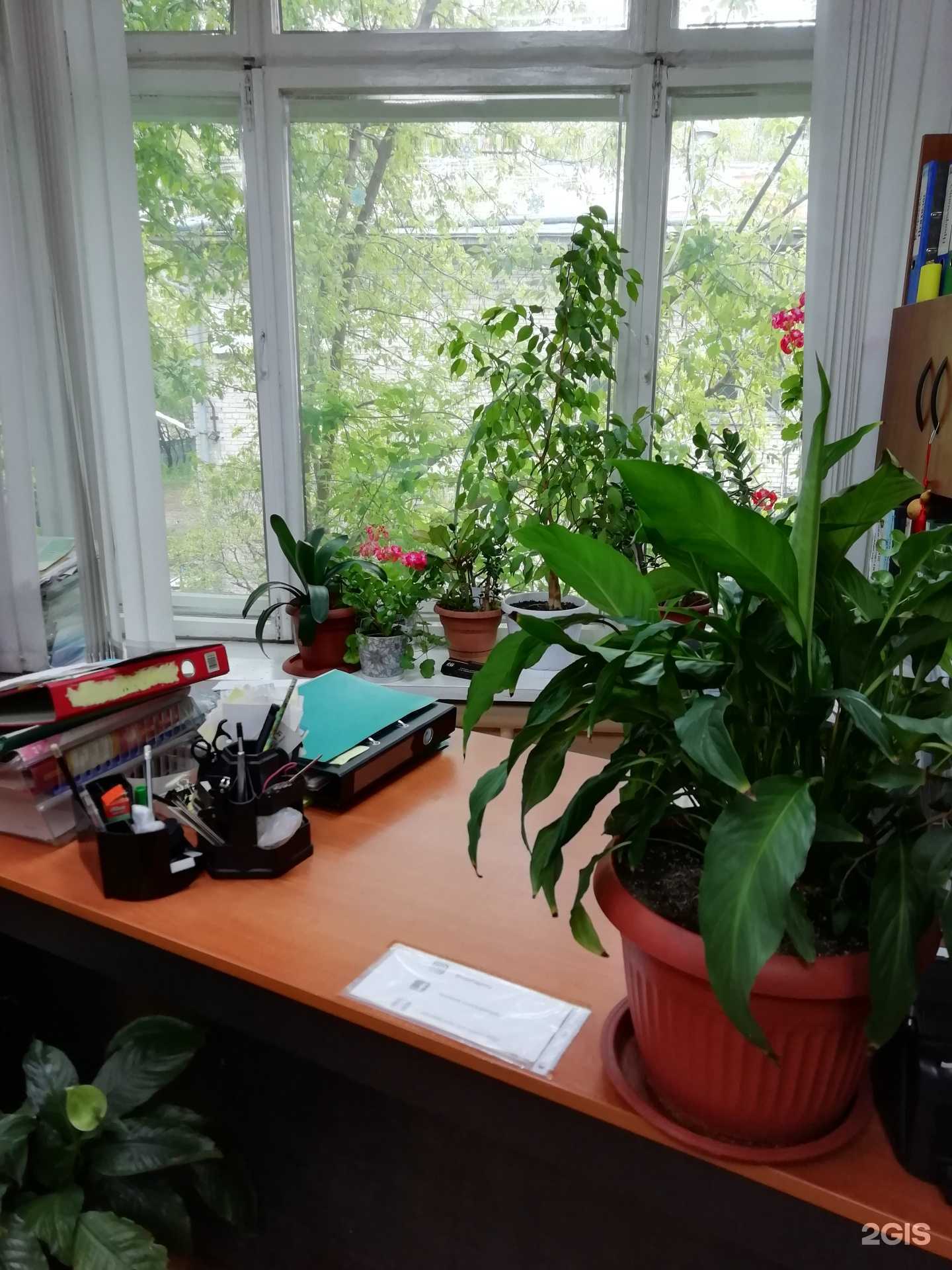 Отзывы на компанию Успех в Ангарске c фото