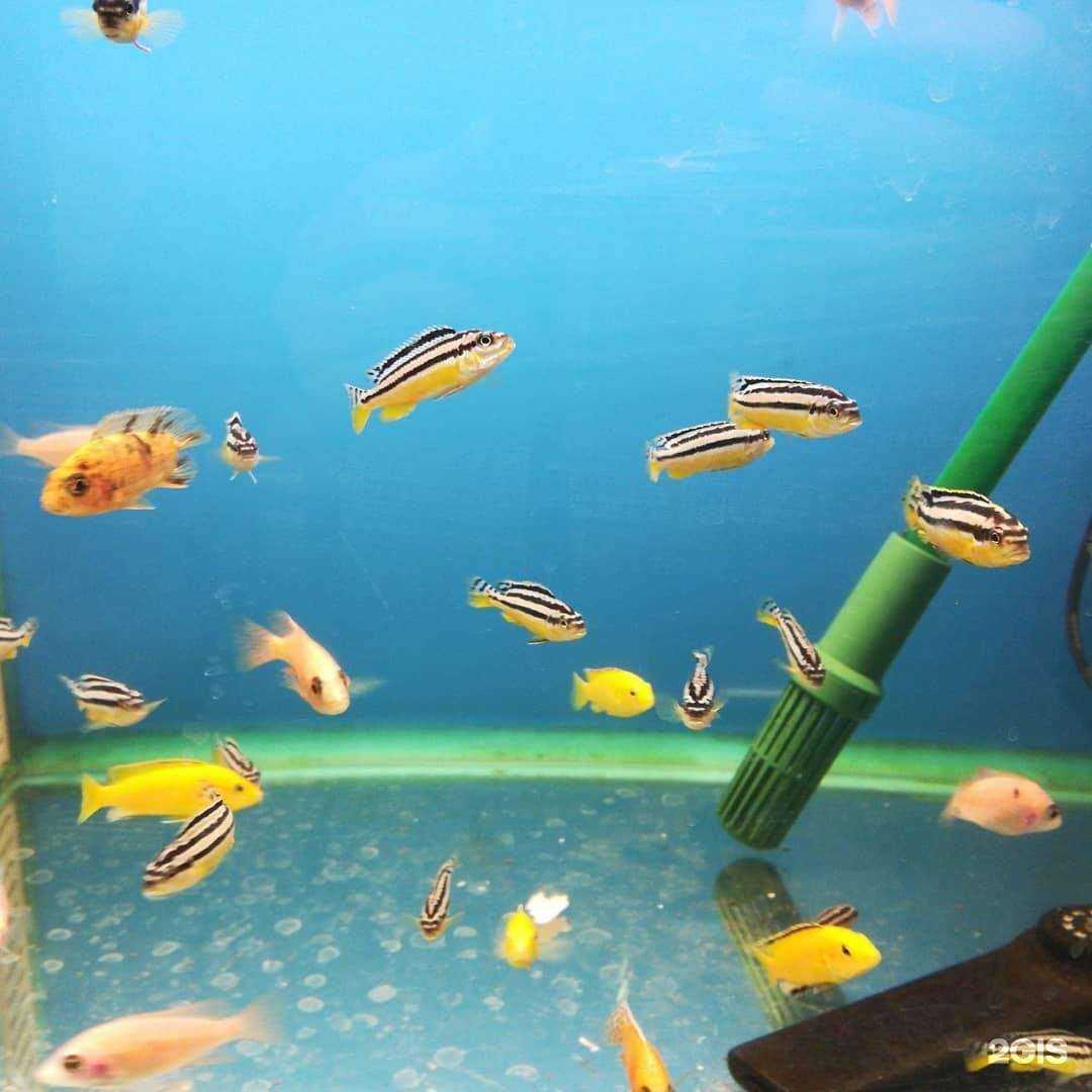 Отзывы на компанию Аквамир в Новом Уренгое c фото