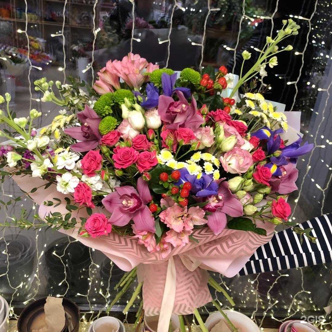 Отзывы на компанию Оазис в Владимире c фото