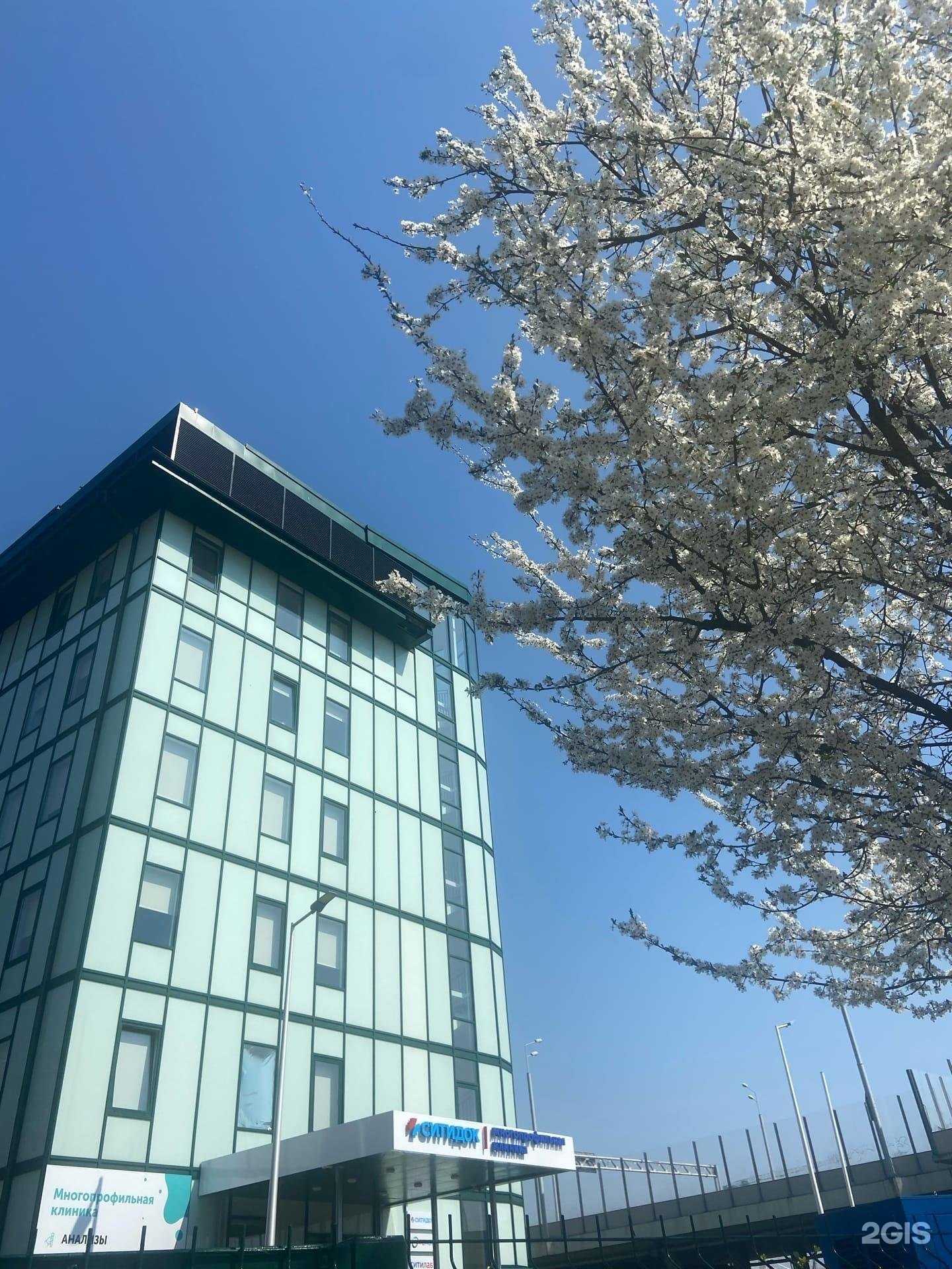 Отзывы на компанию Ситидок в г. Калининград c фото