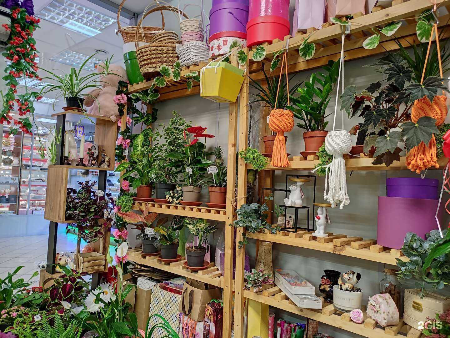 Отзывы на компанию Магия цветов   в Королёве c фото