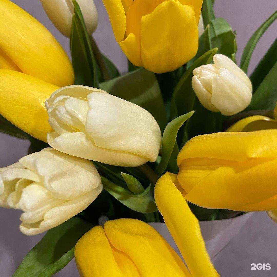 Отзывы на компанию Дачный мир в Хабаровске c фото