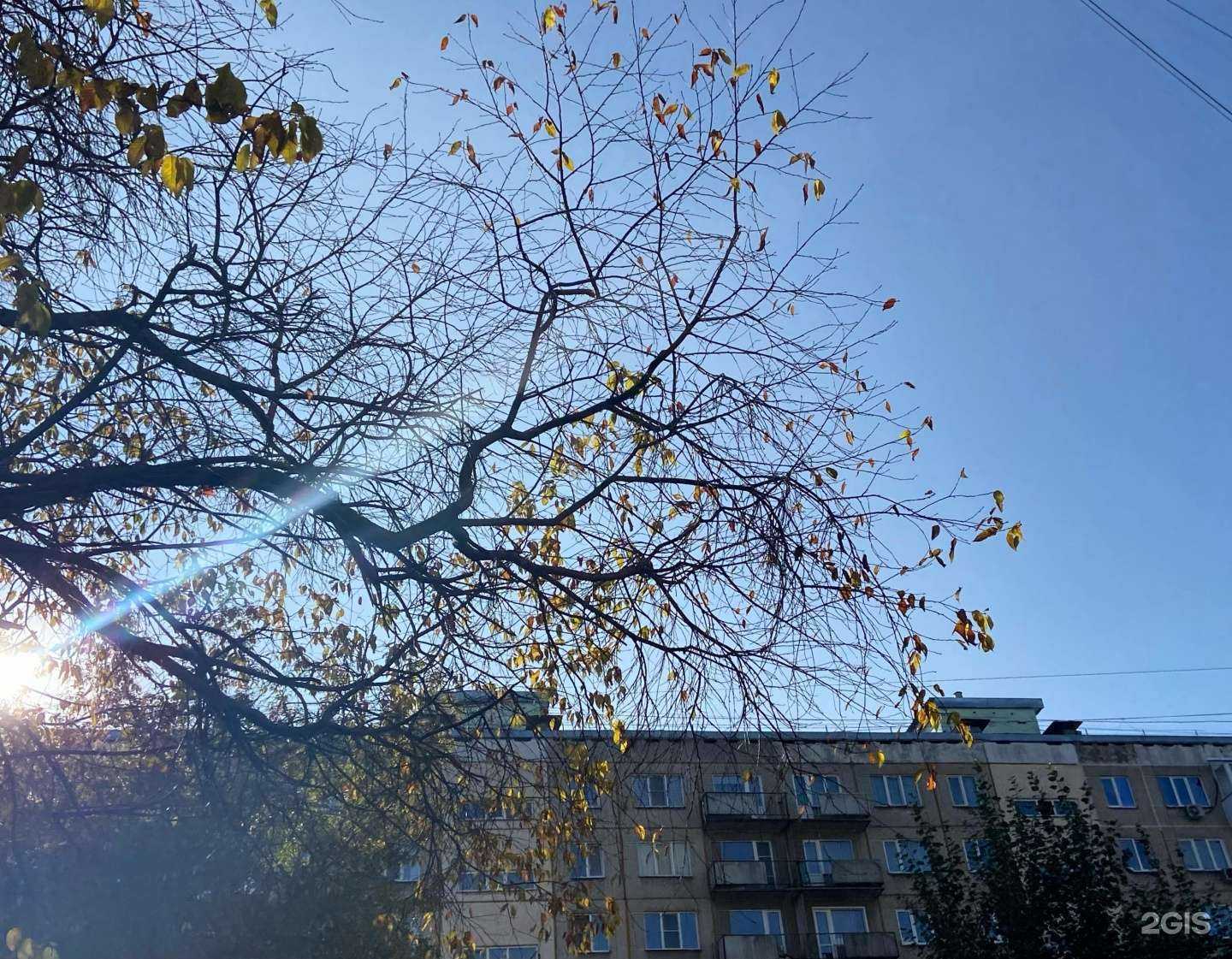 Отзывы на компанию Компания по финансовым услугам и агентство недвижимости в Новосибирске c фото