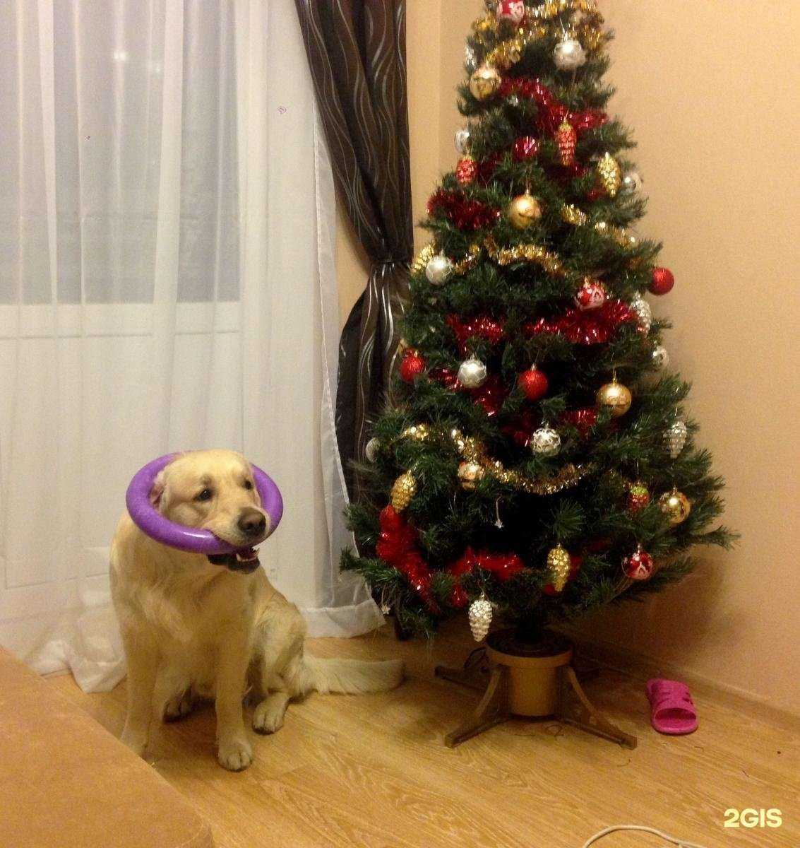 Отзывы на компанию ЗооУрал в г. Екатеринбург c фото