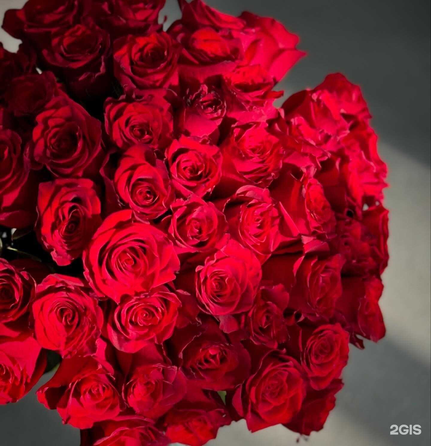 Отзывы на компанию Ciao Bella в г. Якутск c фото