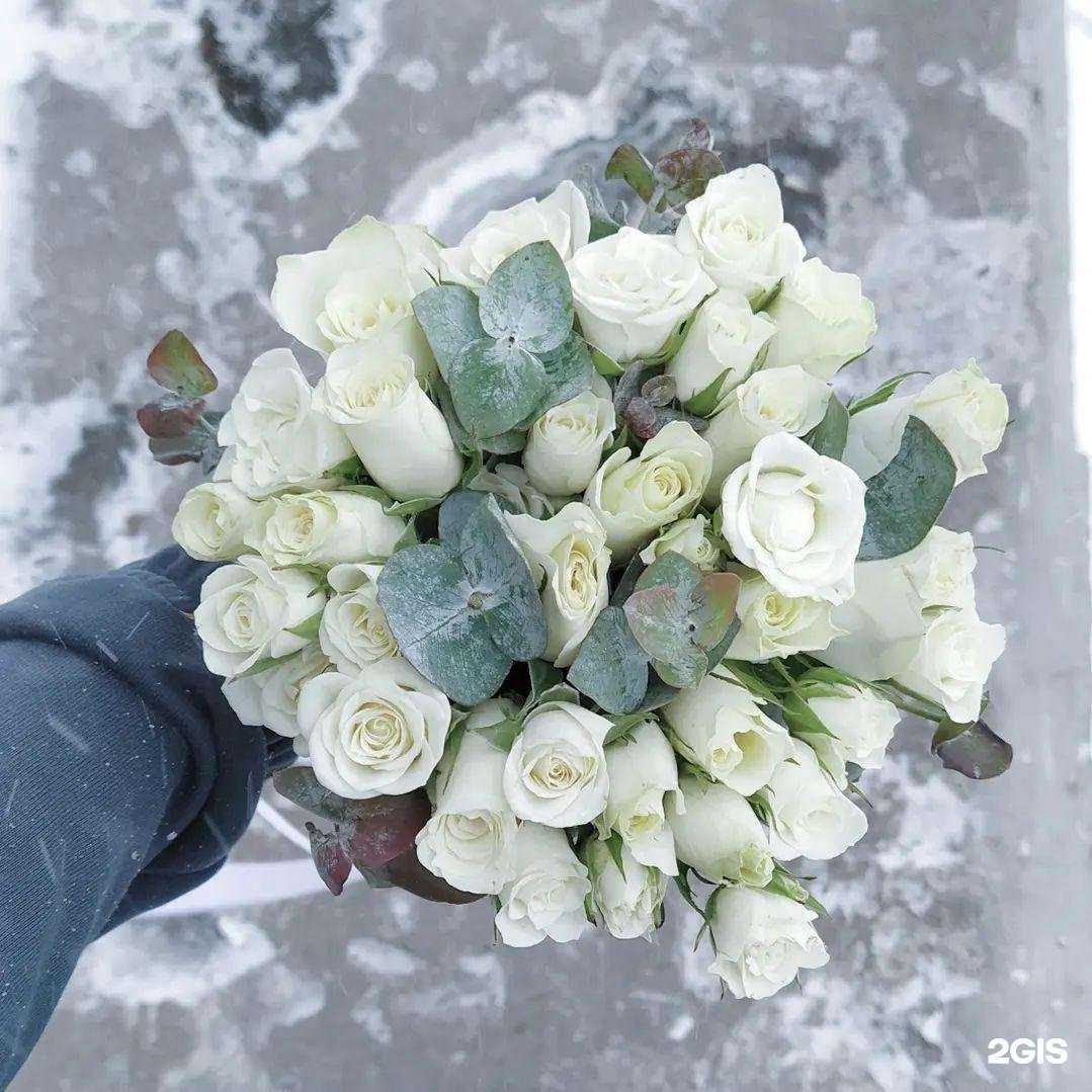 Отзывы на компанию Цветы у дома в г. Северодвинск c фото