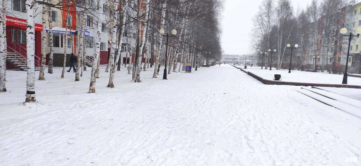 Отзывы на компанию Айболит в Нефтеюганске c фото