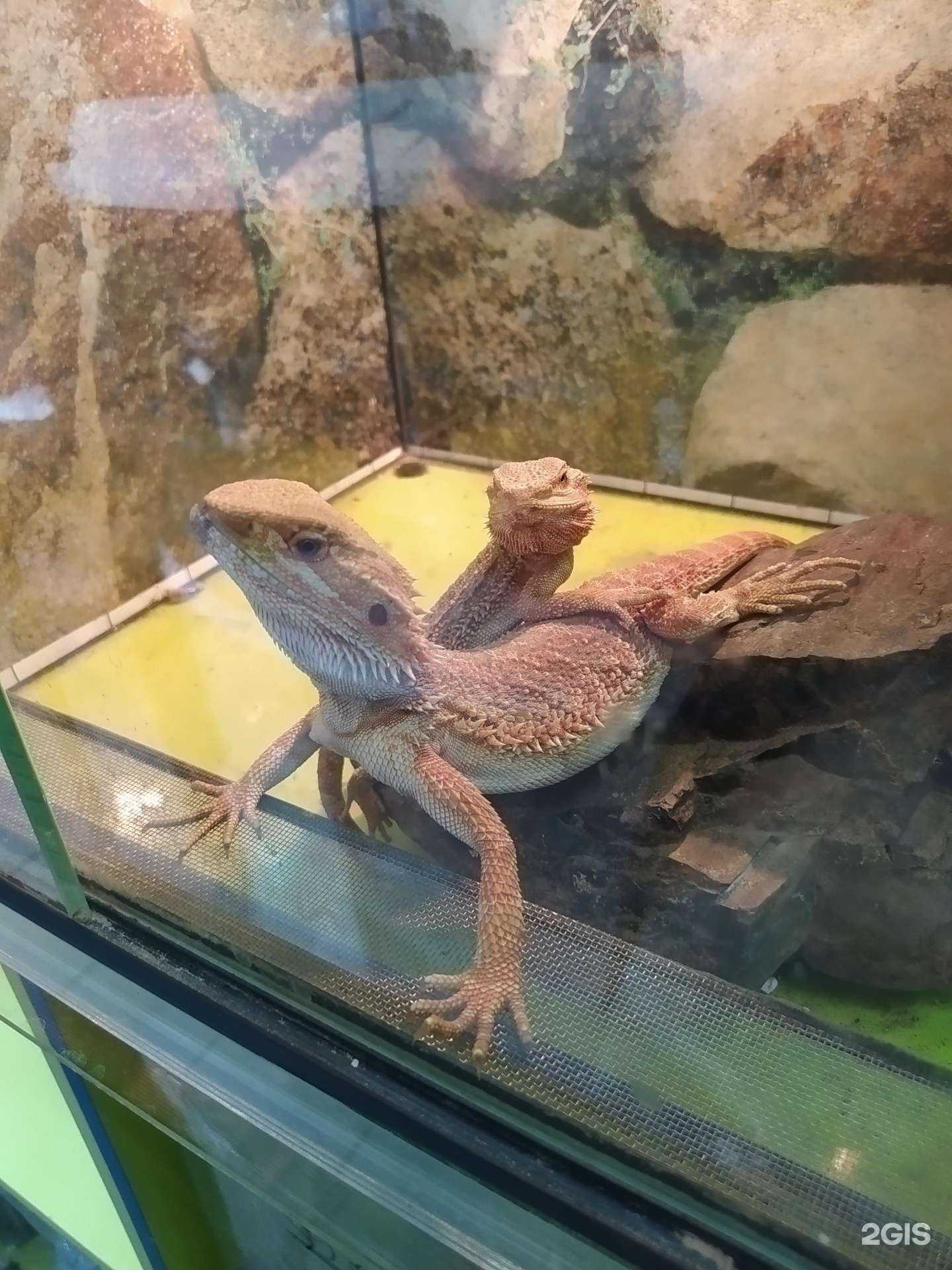 Отзывы на компанию Акватерра в г. Волгоград c фото