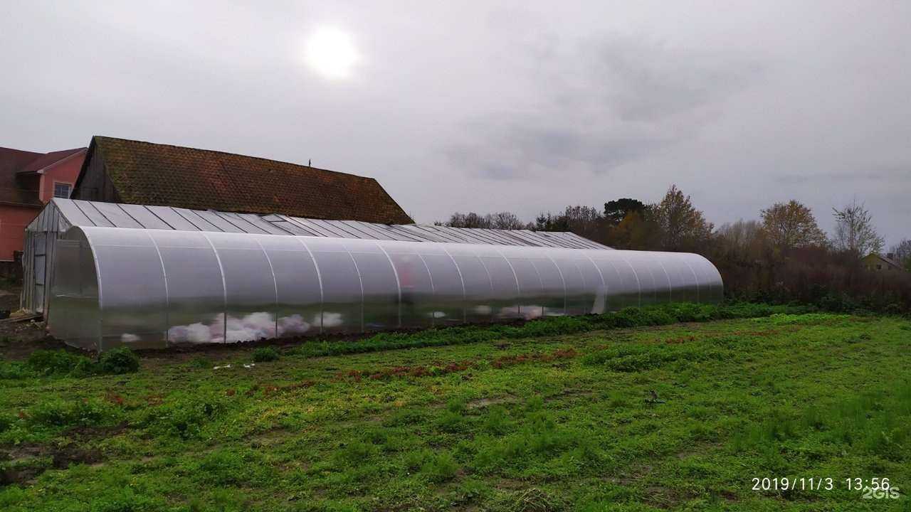 Отзывы на компанию Воля в г. Калининград c фото