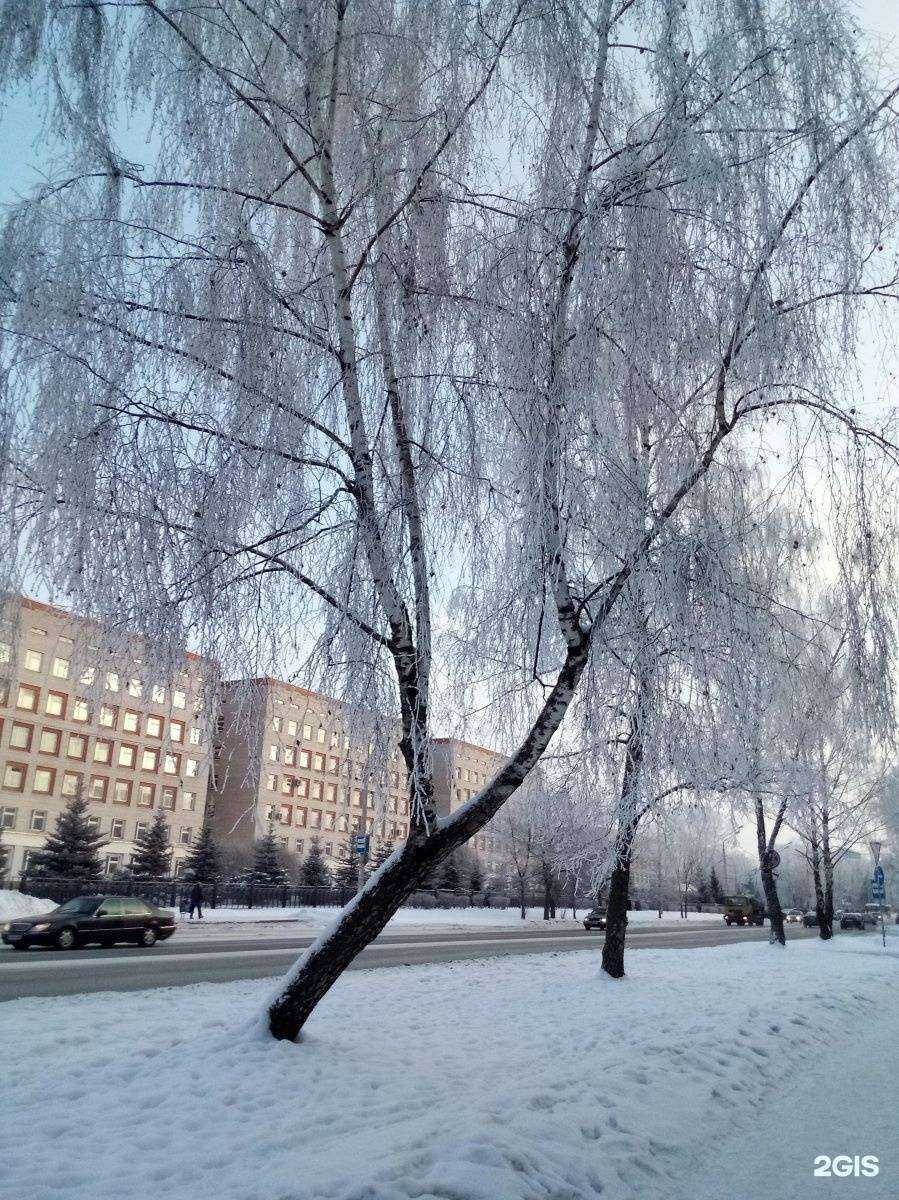 Отзывы на компанию Детская областная клиническая больница в Пскове c фото