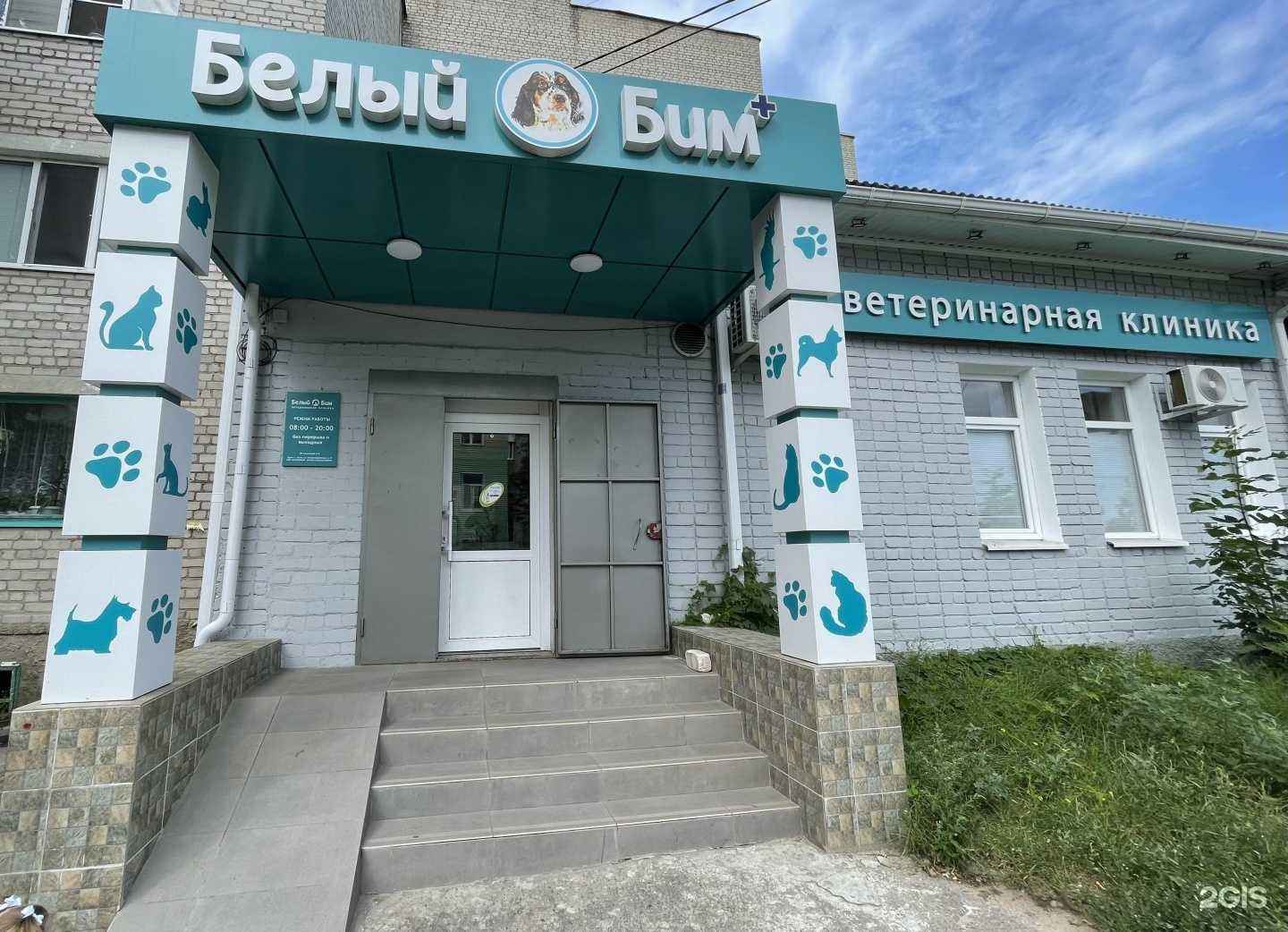 Отзывы на компанию Белый Бим в Лисках c фото