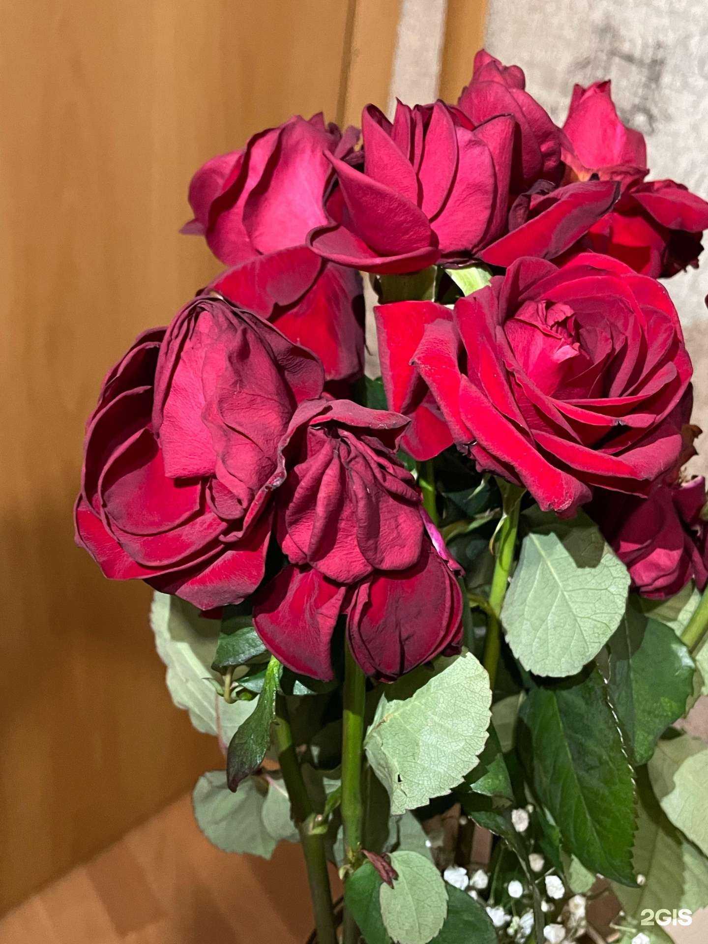 Отзывы на компанию Анастасия в Челябинске c фото