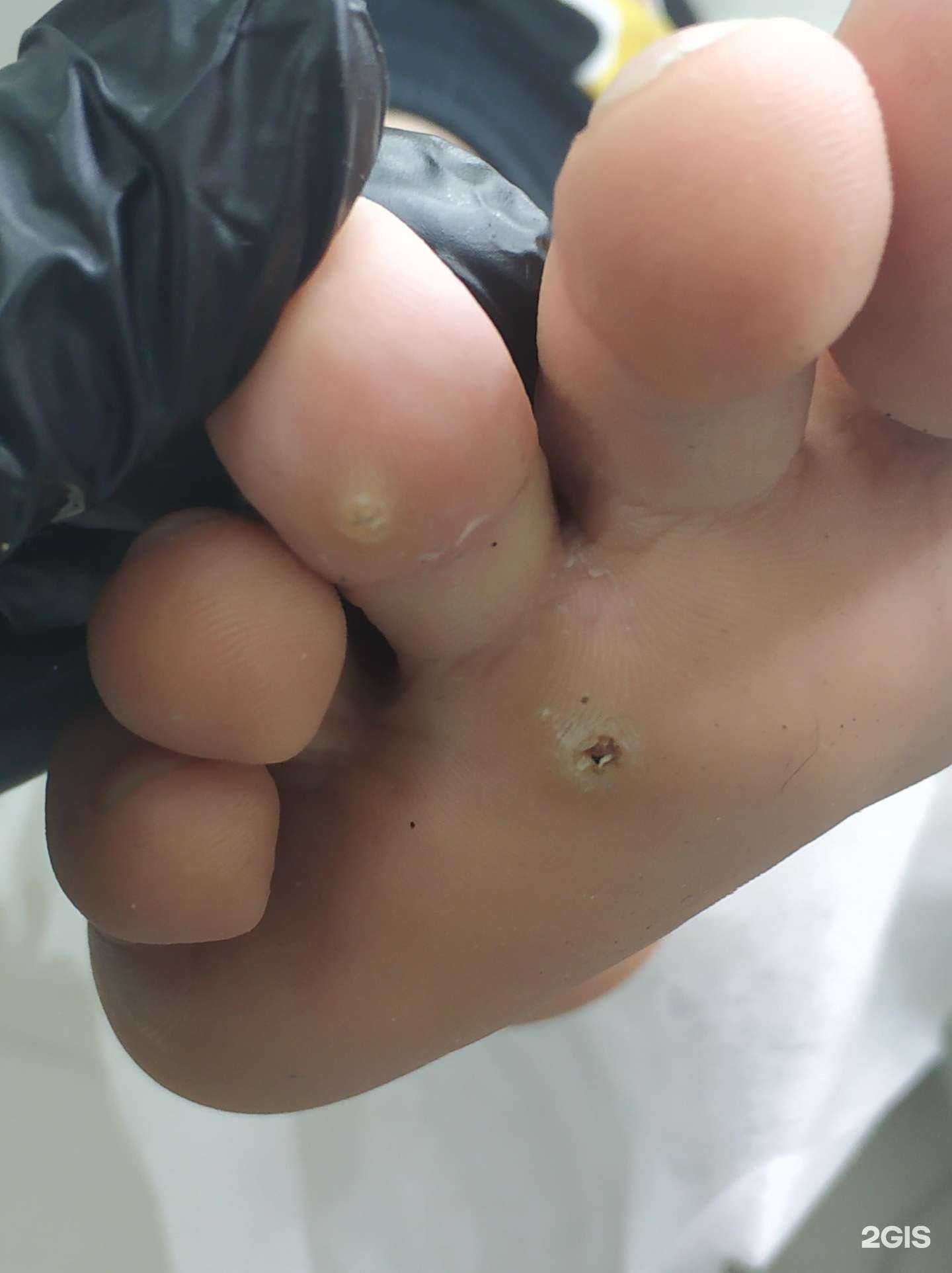 Отзывы на компанию Диалайн Мед в Череповце c фото