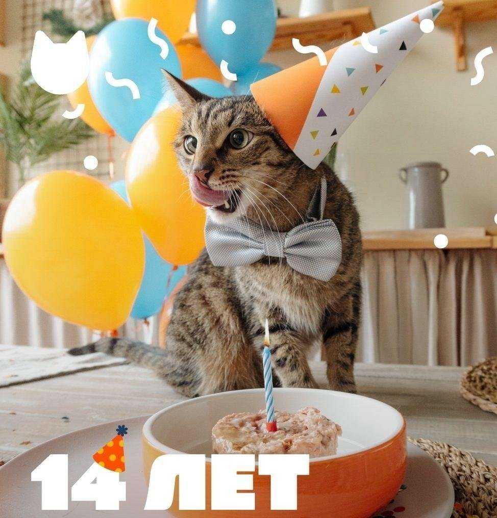 Отзывы на компанию Petshop.ru в г. Екатеринбург c фото