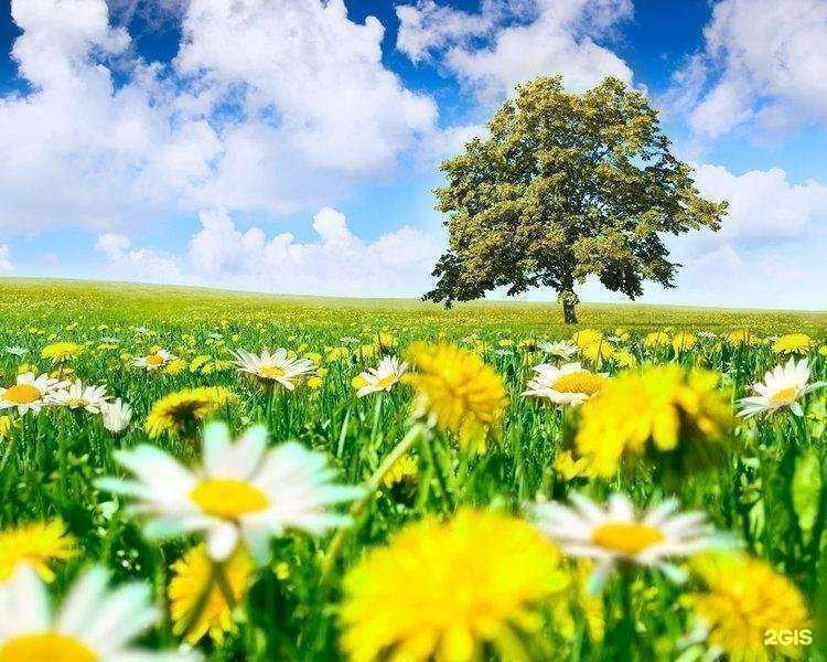 Отзывы на компанию Language assistant в Самаре c фото