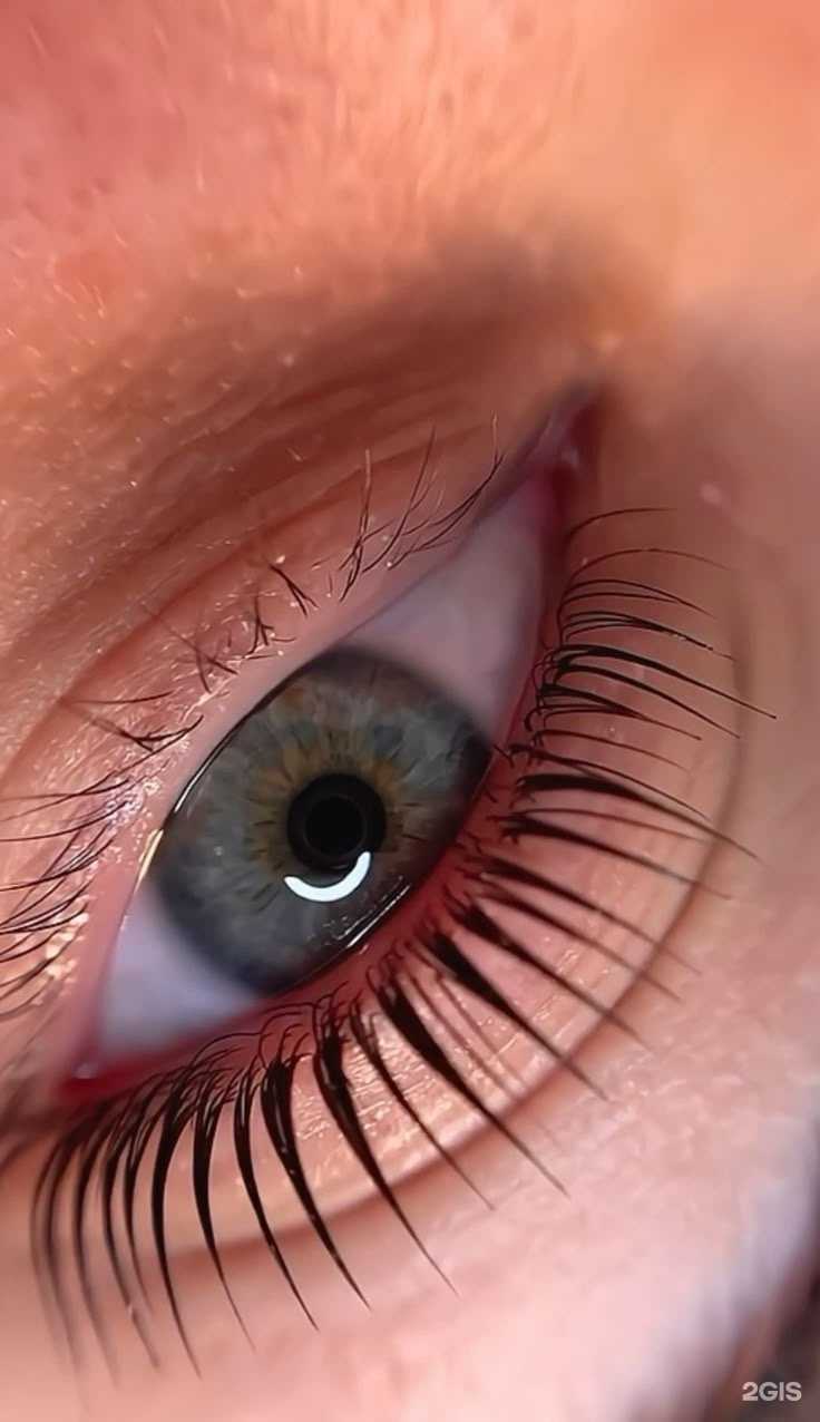 Отзывы на компанию Студия ламинирования ресниц в Красноярске c фото