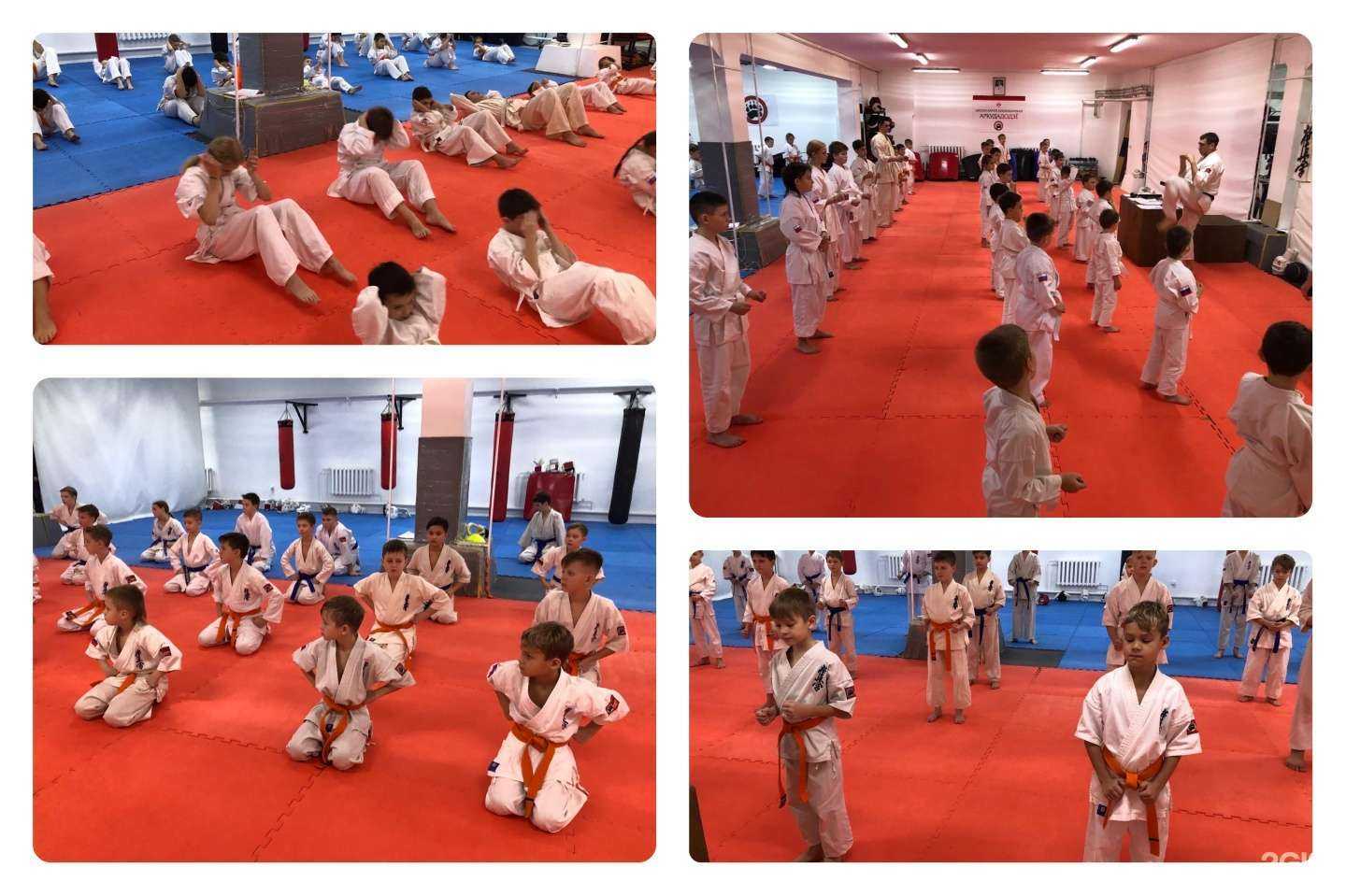 Отзывы на компанию Аркуда Додзё в г. Барнаул c фото