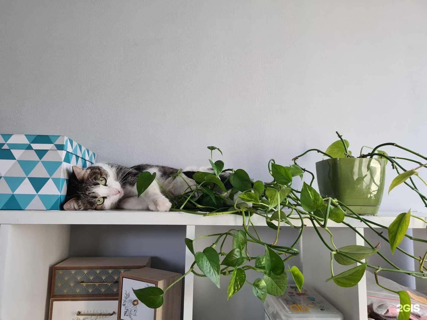 Отзывы на компанию Lovely dolls в Иркутске c фото - фотография 2 из 2