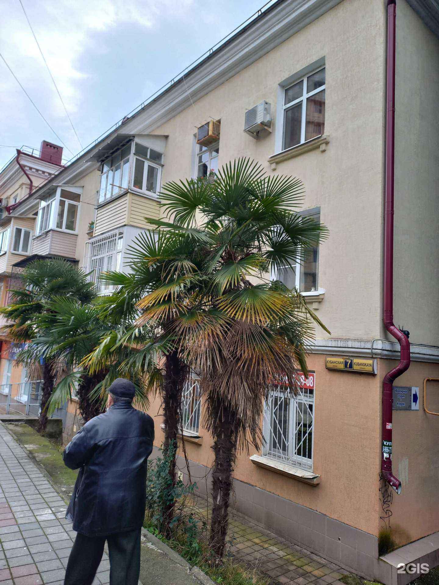 Отзывы на компанию Галерея улыбок в Сочи c фото - фотография 2 из 2