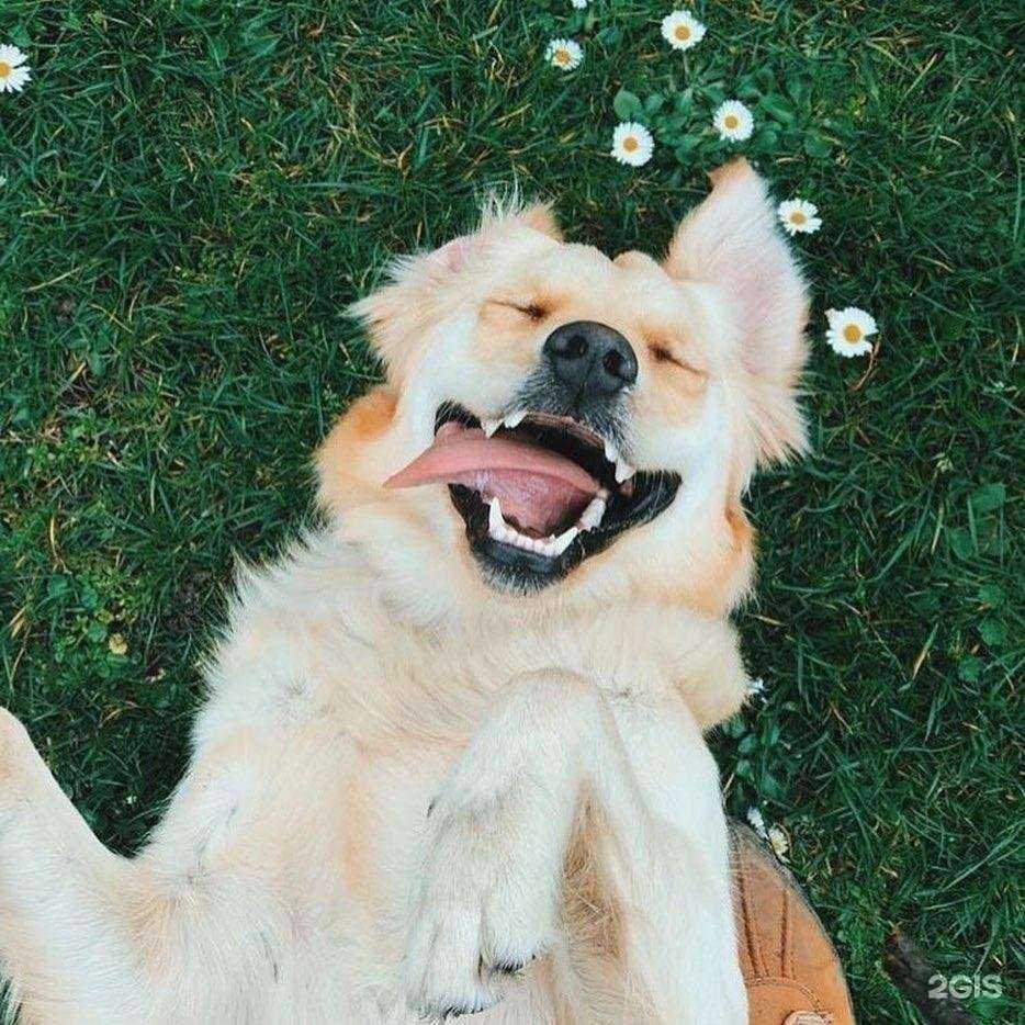 Отзывы на компанию ЗооМир в г. Петрозаводск c фото