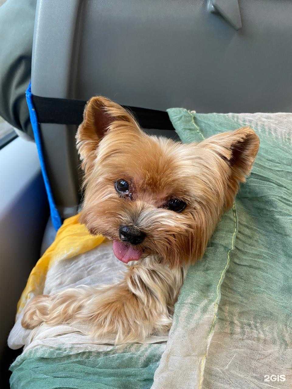 Отзывы на компанию Dolce vita в г. Сергиев Посад c фото