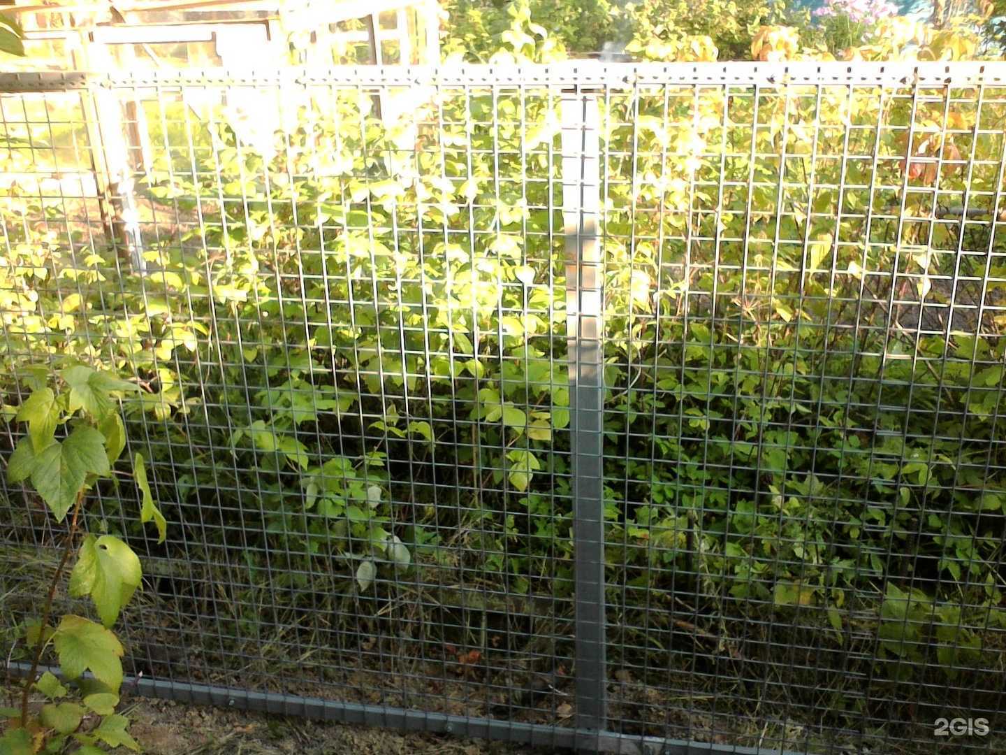 Отзывы на компанию Деталь 44 в г. Кострома c фото