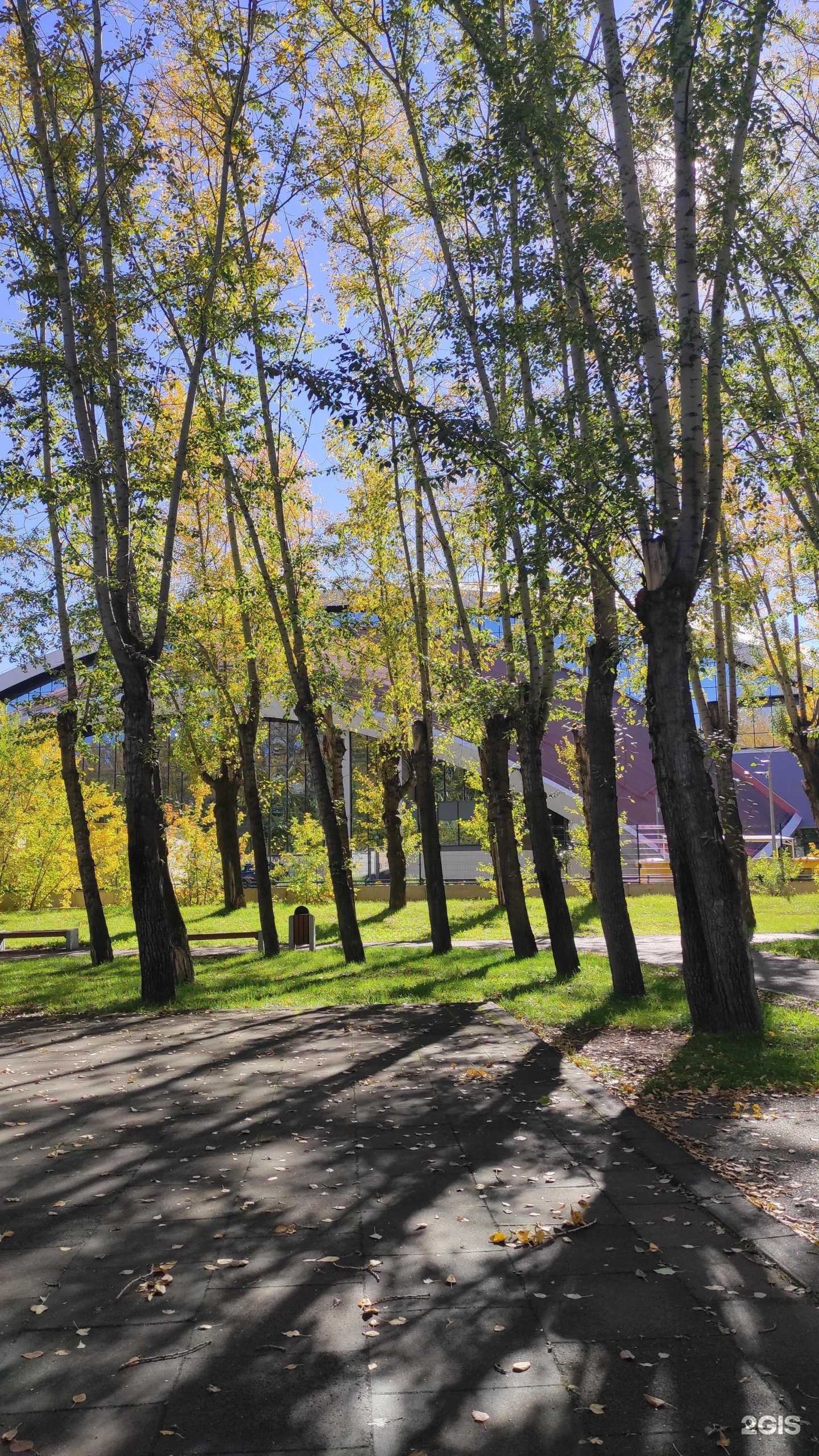 Отзывы на компанию Енисейчик в Красноярске c фото - фотография 2 из 2