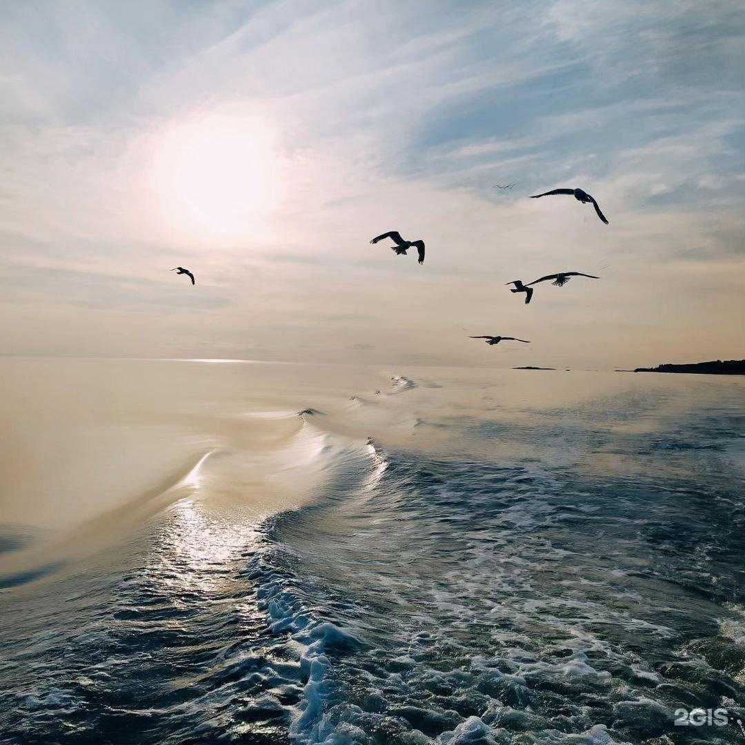 Отзывы на компанию Akimova vocal class в г. Архангельск c фото