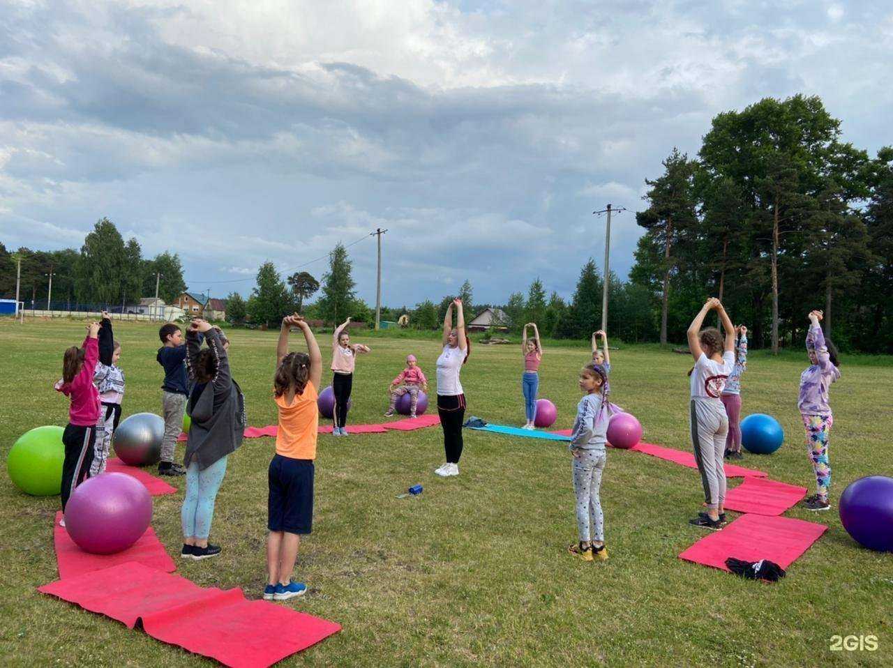 Отзывы на компанию Здоровая Ляпинка в Ярославле c фото