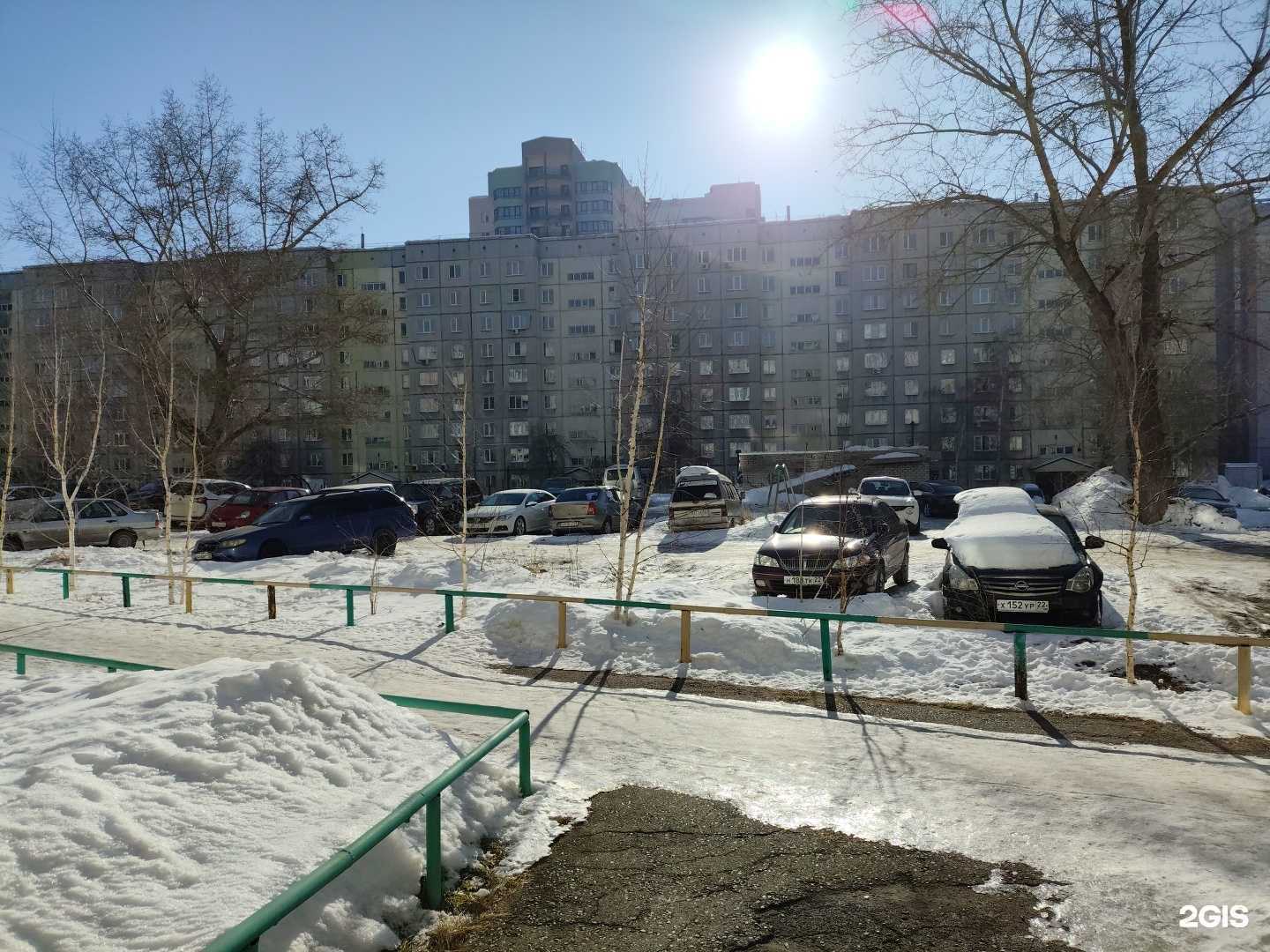 Отзывы на компанию Вет помощь в Барнауле c фото - фотография 2 из 2