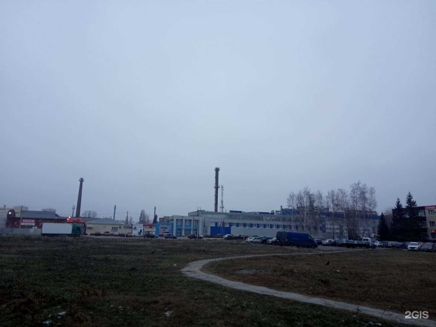 Отзывы на компанию Тюльпан в г. Липецк c фото