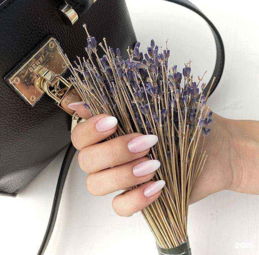 Отзывы на компанию Доминика в Барнауле c фото