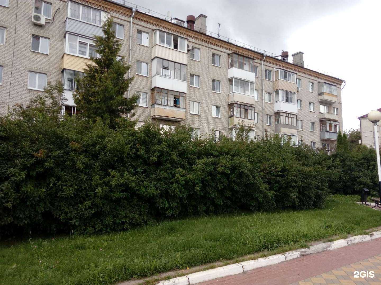 Отзывы на компанию Адвентура в Брянске c фото - фотография 2 из 2