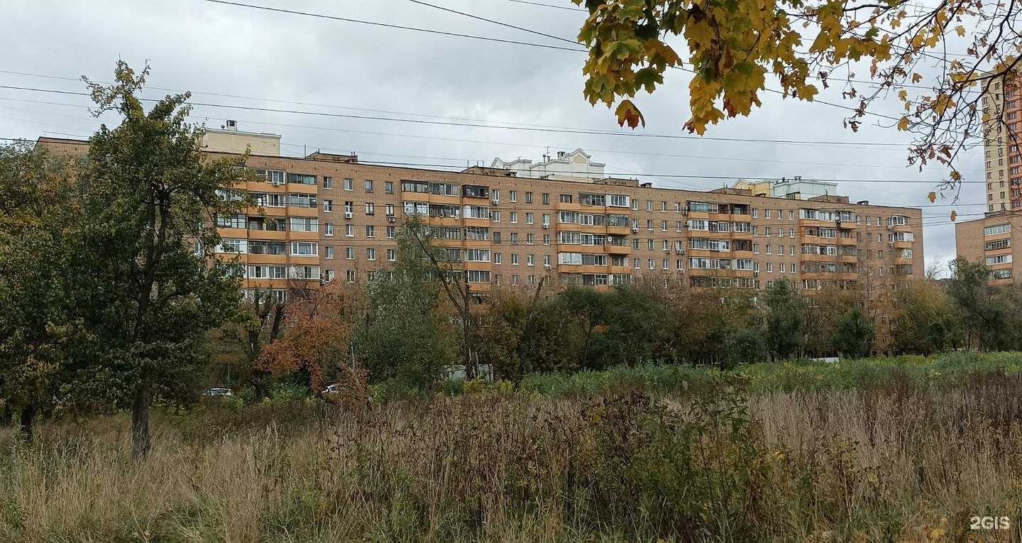 Отзывы на компанию Стричи в Реутове c фото - фотография 2 из 2