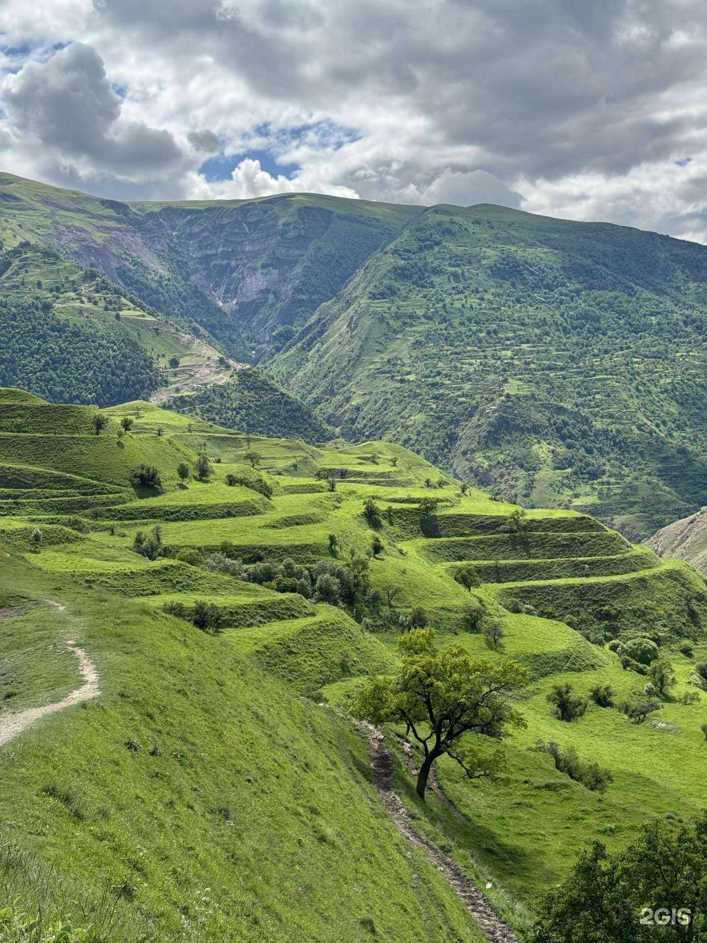 Отзывы на компанию Туристическая компания в г. Каспийск c фото