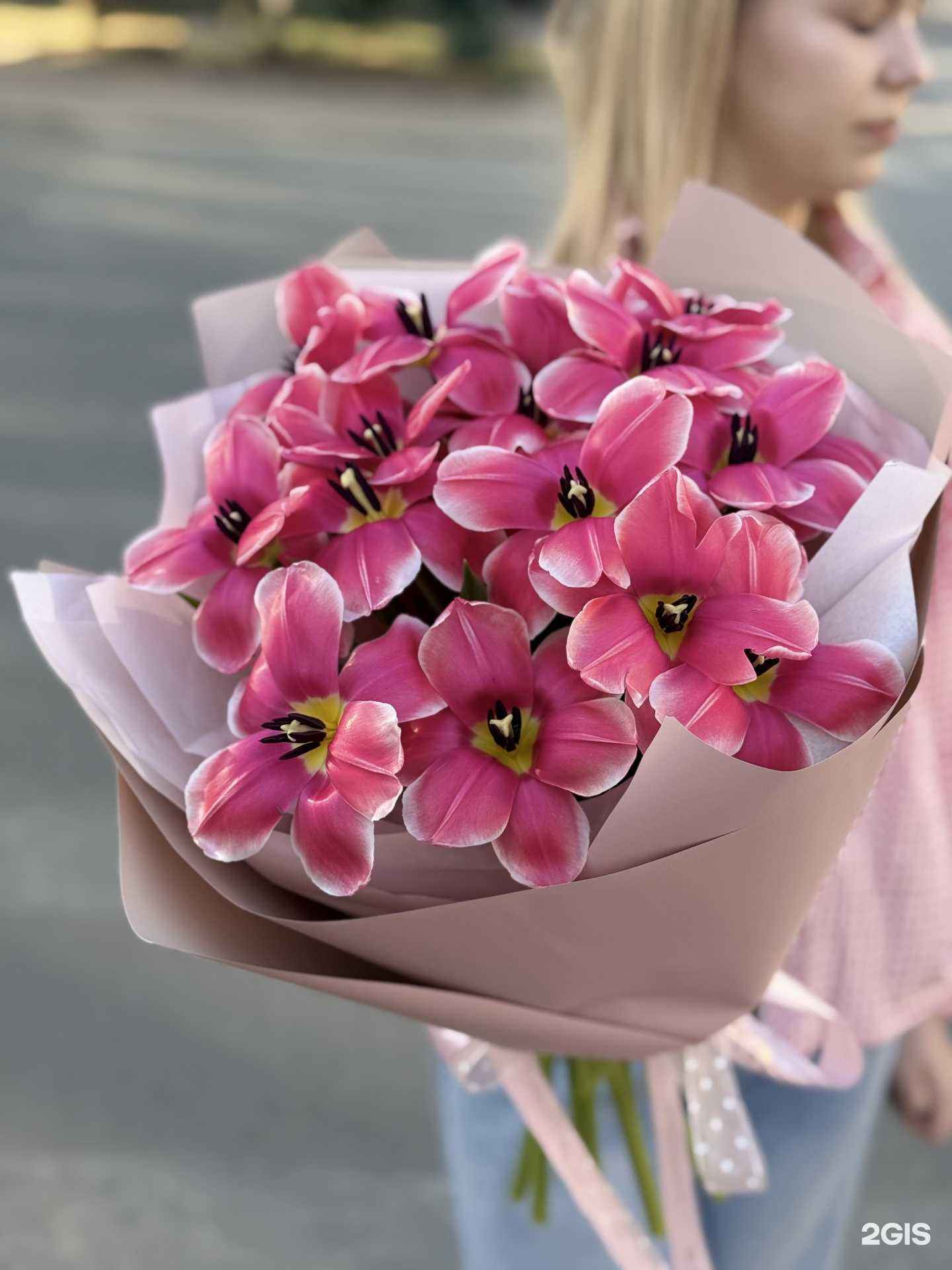 Отзывы на компанию Aflora в Кисловодске c фото