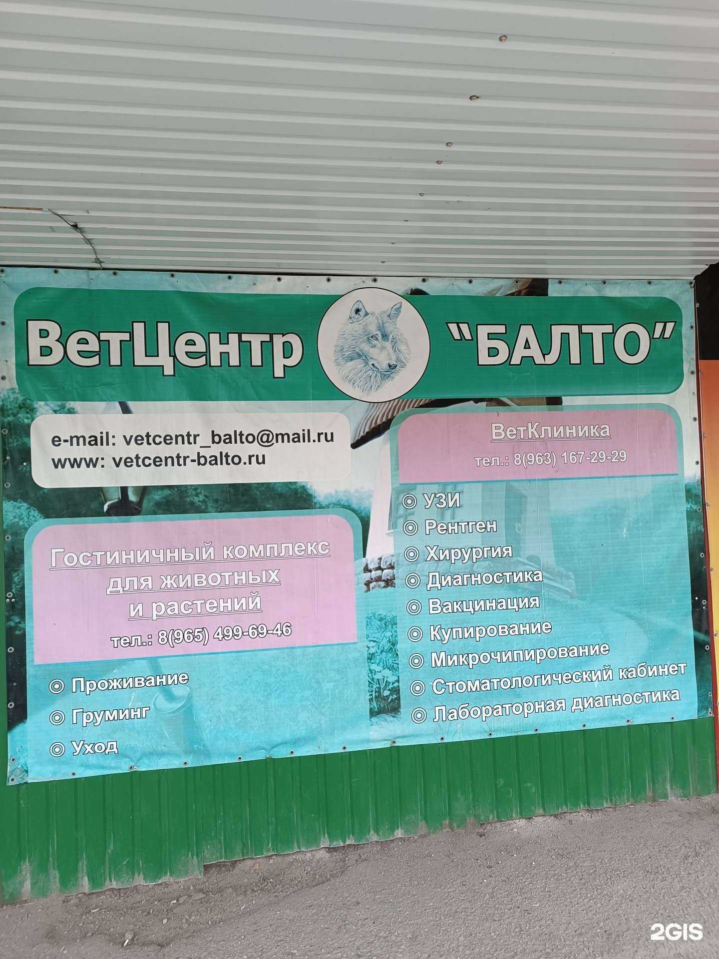 Отзывы на компанию Балто в Нальчике c фото