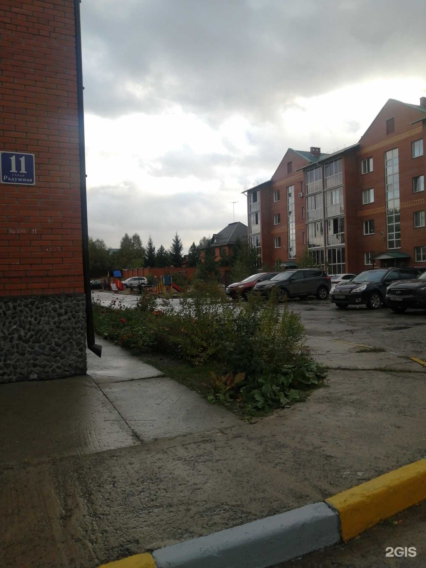 Отзывы на компанию Мангуста в Новосибирске c фото